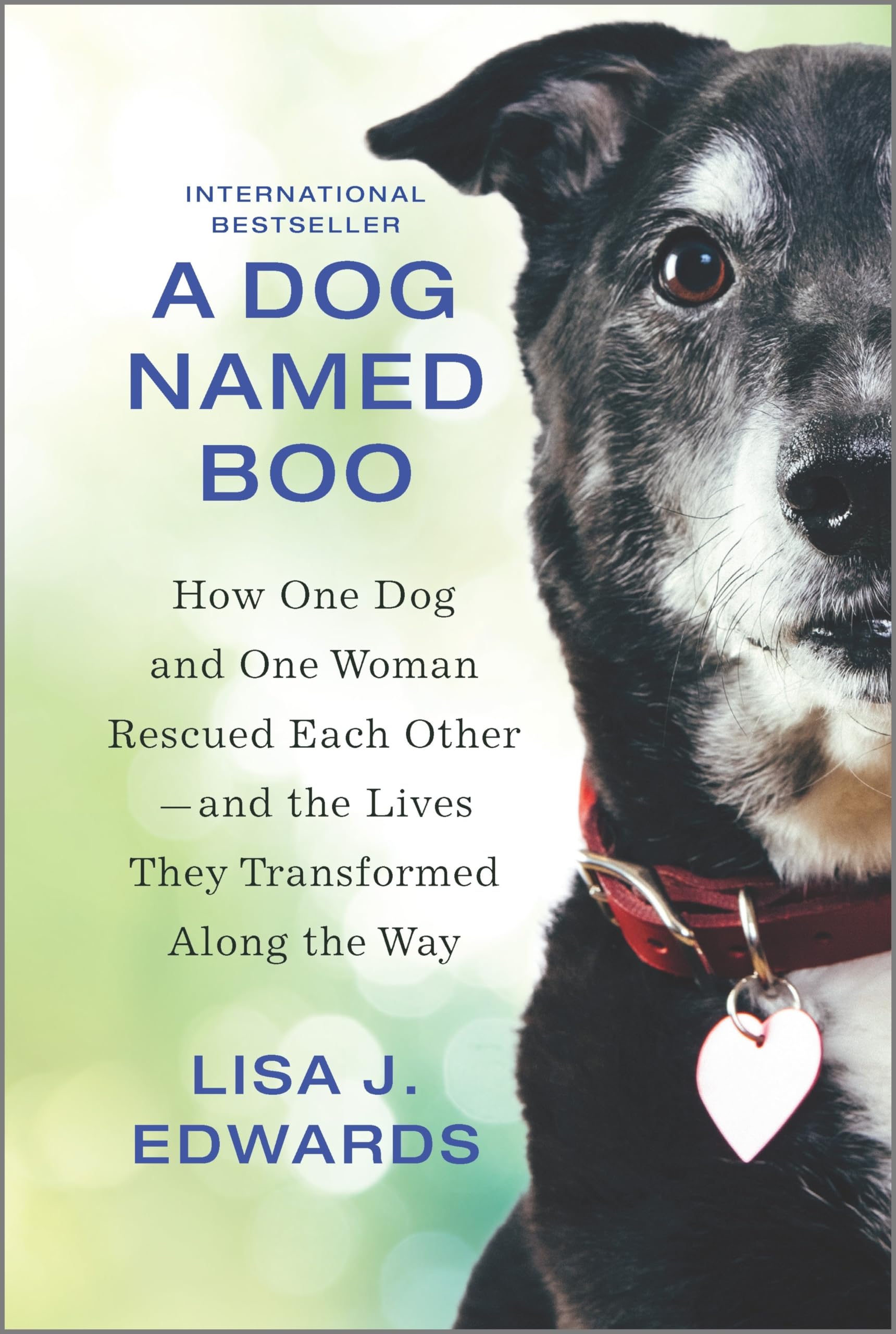 A Dog Named Boo: How One Dog And One Woman Rescued Each OtherAnd The Lives They Transformed Along The Way