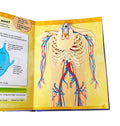 VISHV BOOKS | CONCEPT POPUP | HOW DO HEART AND LUNGS KEEP THE BODY ACTIVE?