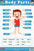 My Amazing Body Parts Names Chart an Interactive Learning chart Poster for Kids| Early Learning Educational Chart For Kids