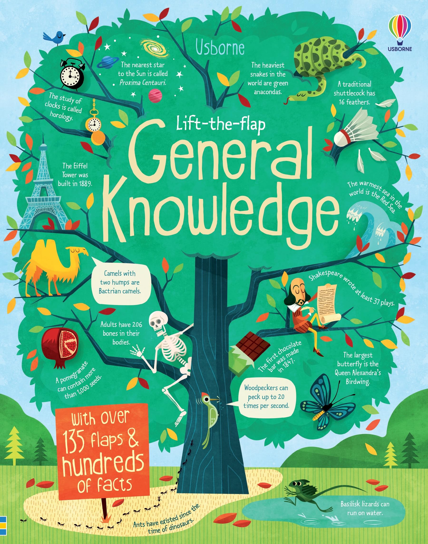 Lifttheflap General Knowledge (International Edition)