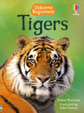 Tigers  Usborne Beginners