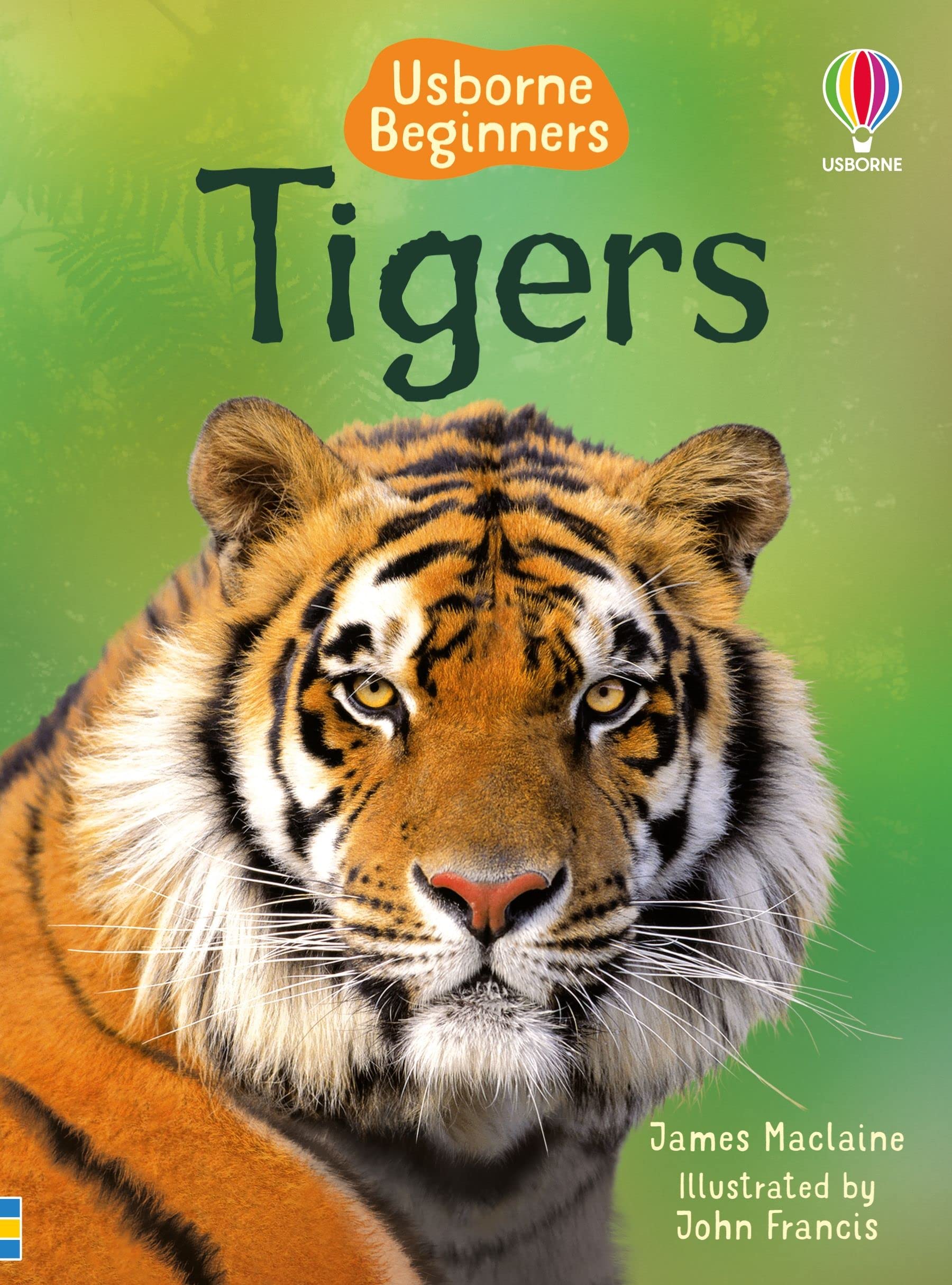 Tigers  Usborne Beginners