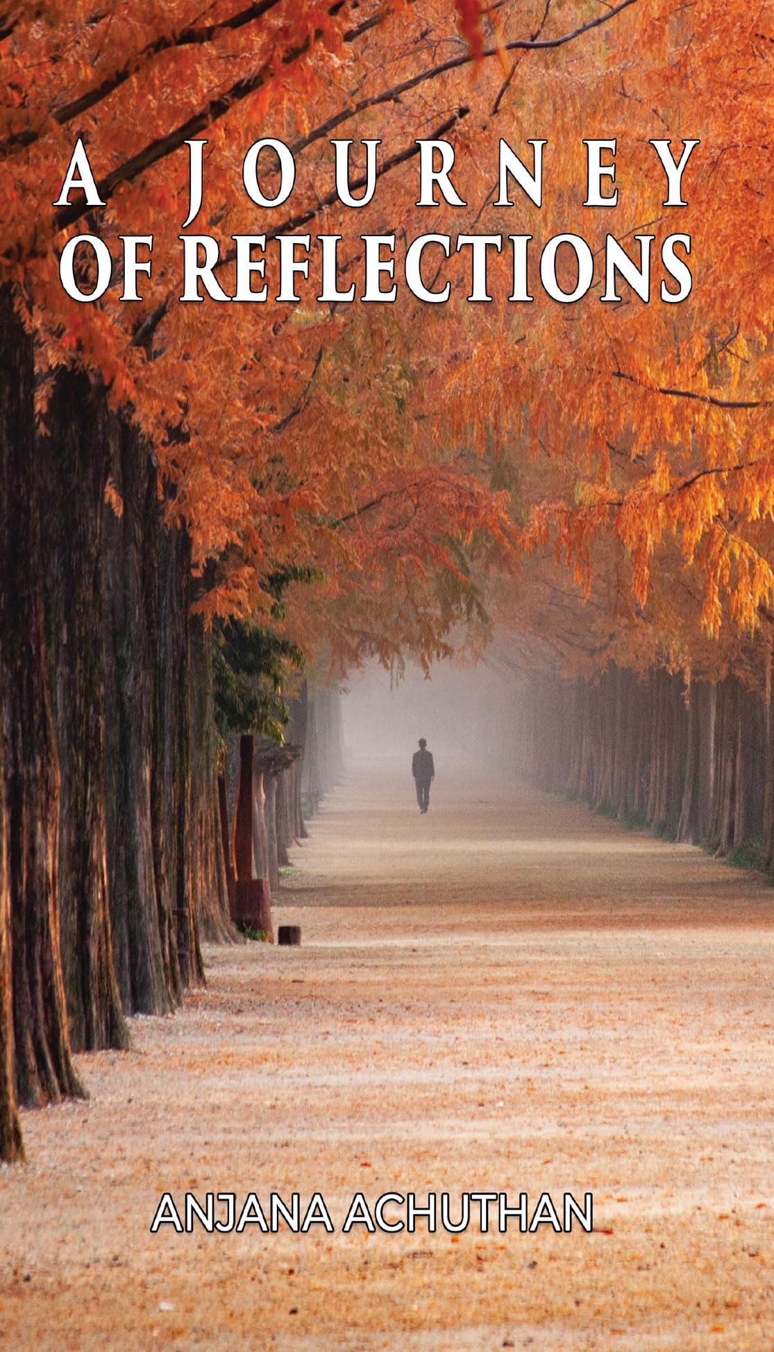 A Journey of Reflections
