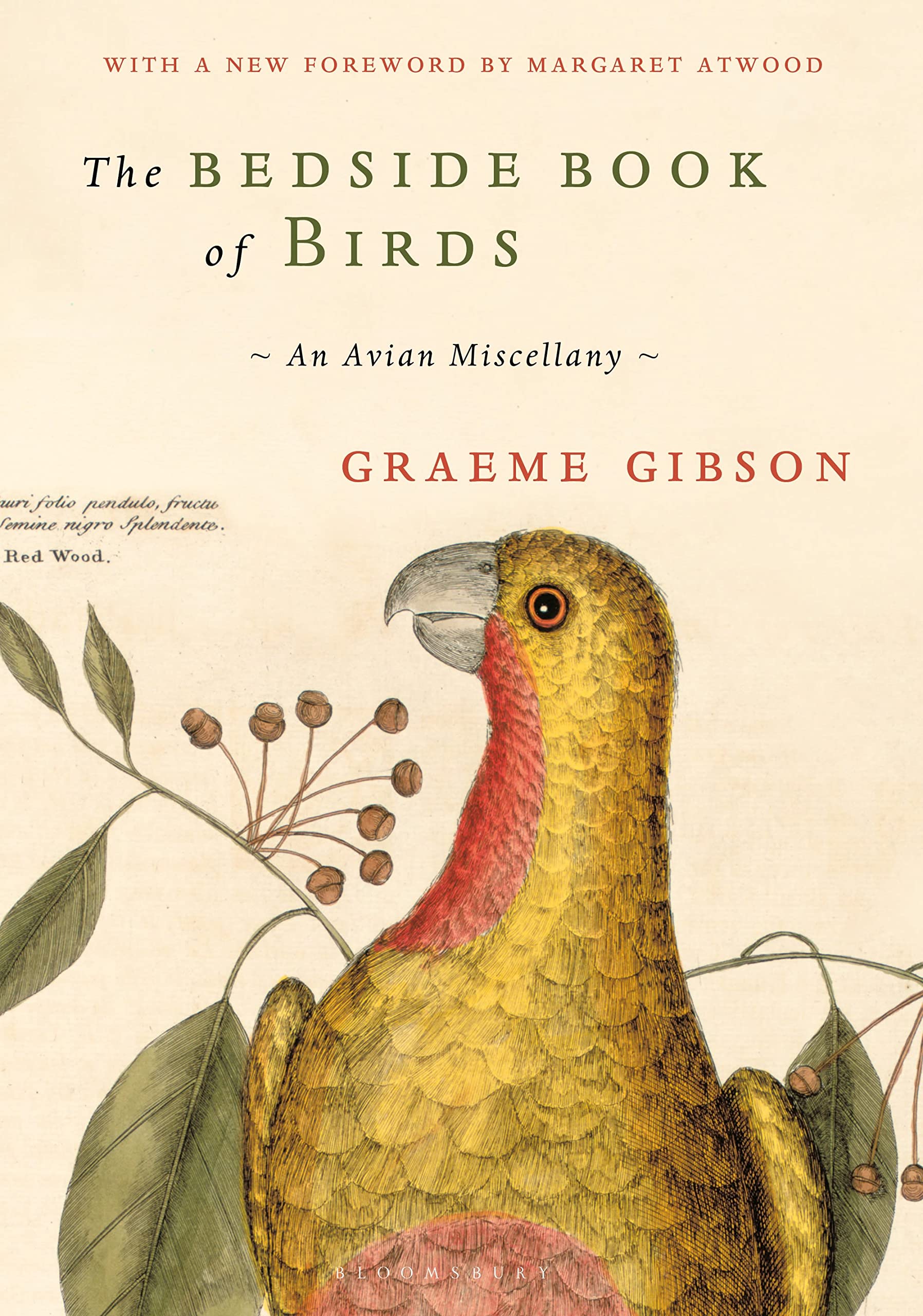 The Bedside Book Of Birds