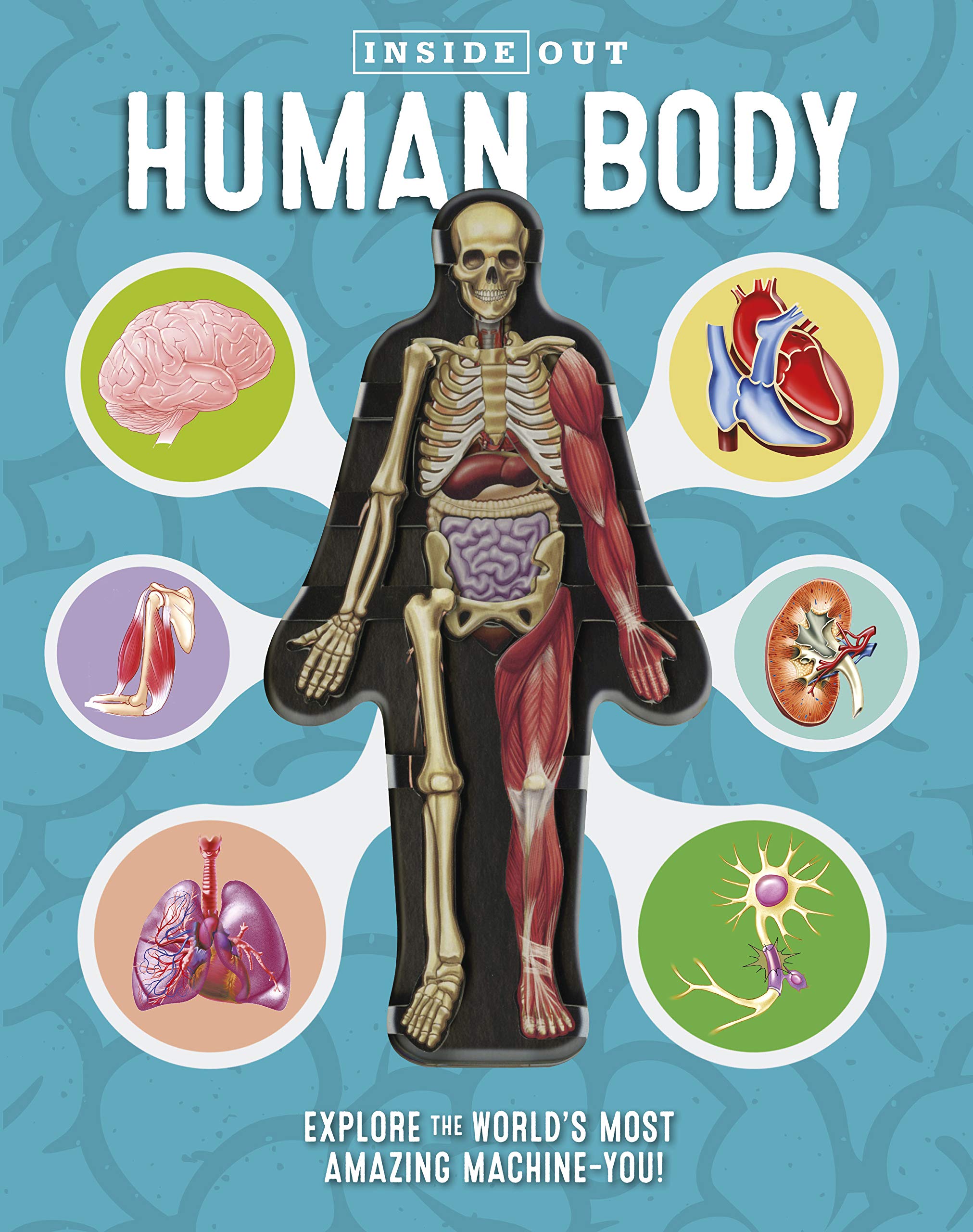 Inside Out Human Body: Explore the Worlds Most Amazing MachineYou!