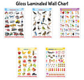 Early Learning Gloss Laminated EnglishHindi Charts : Alphabet, Fruits, Birds, Numbers and Vehicles  Educational Wall Charts f