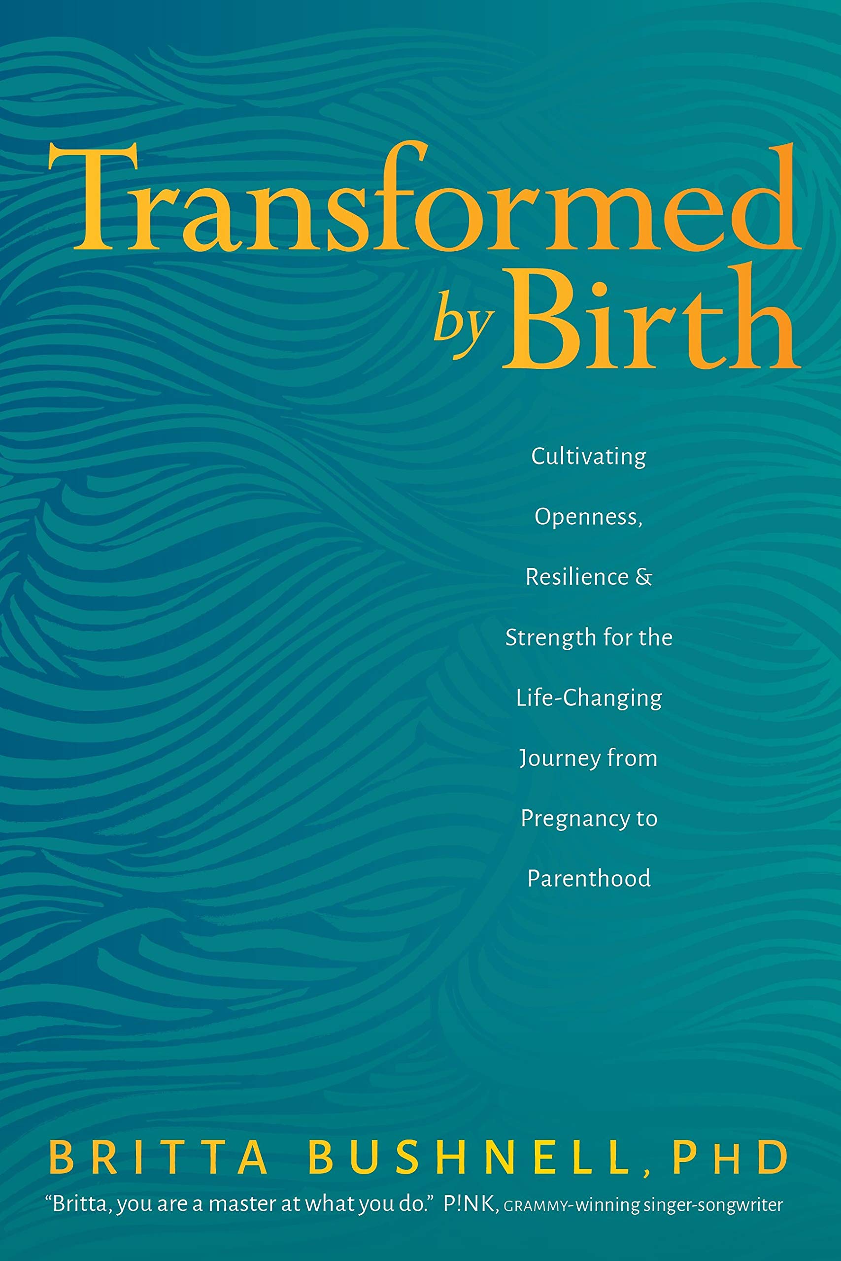 Transformed by Birth: Cultivating Openness, Resilience, and Strength for the LifeChanging Journey from Pregnancy to Parenthood