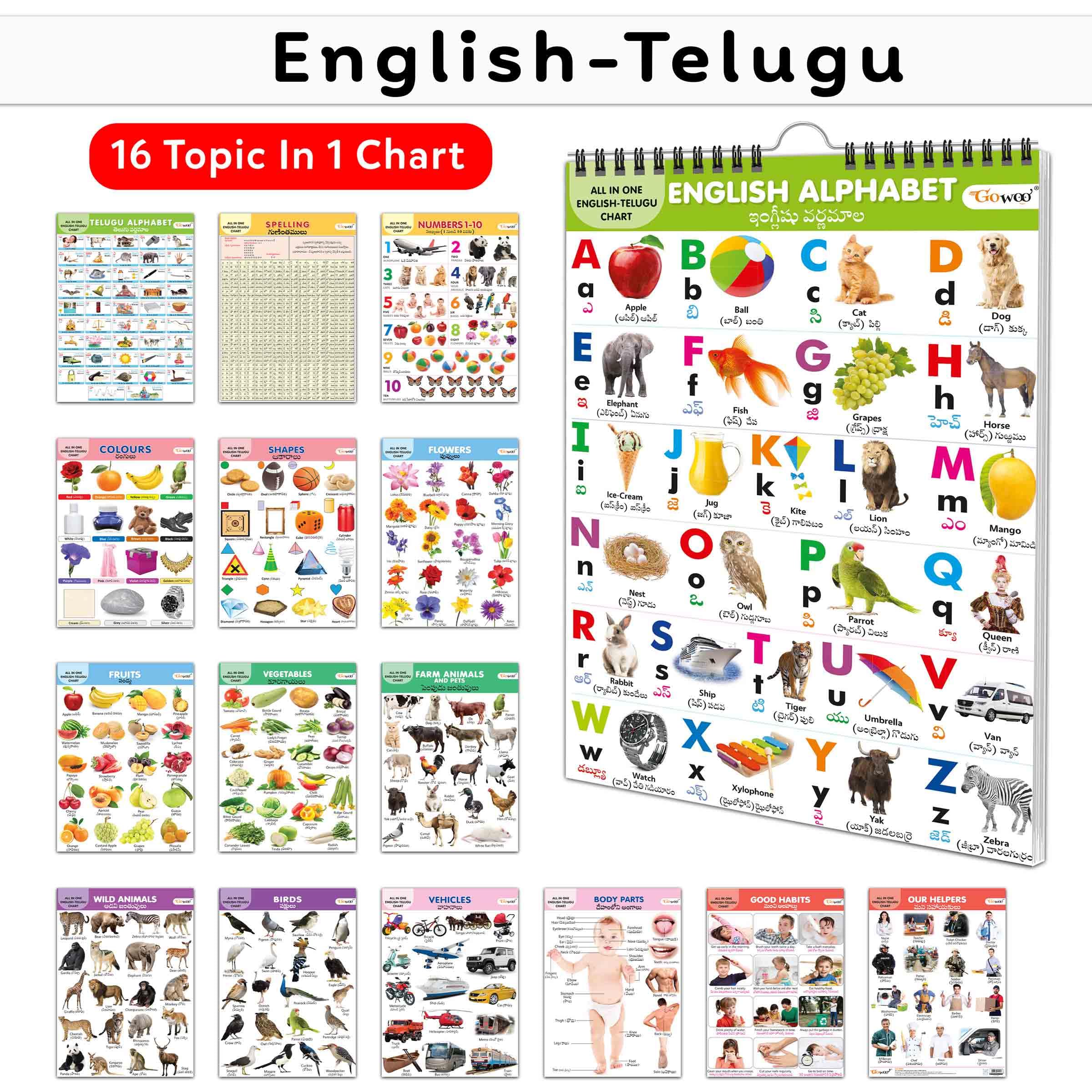 Toddlers learning library : Learning Chart for kids, My First ALL IN ONE SPIRAL CHART ENGLISHTELUGU With 16 Topics, birthday gi