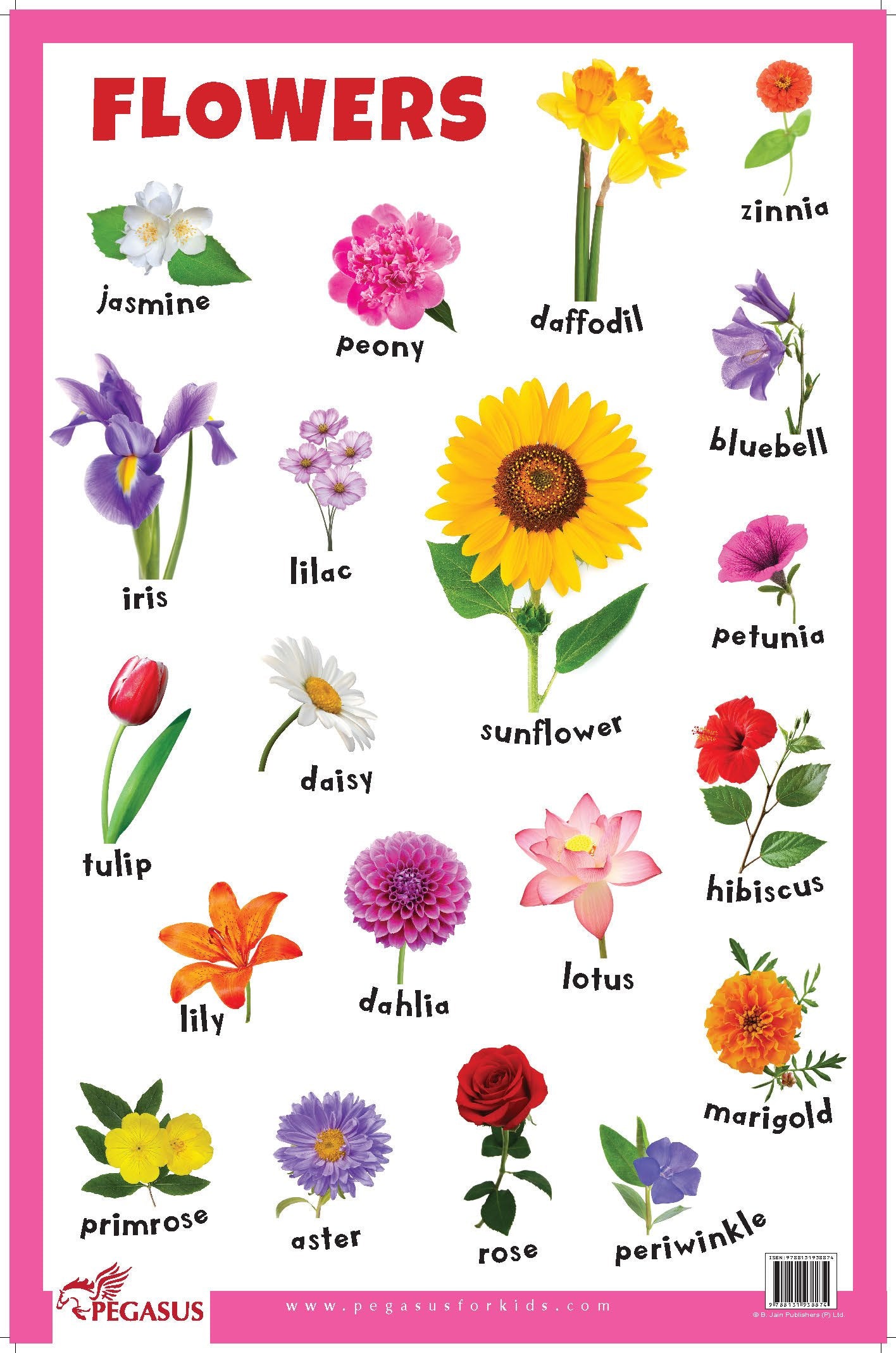 Flowers  Thick Laminated Primary Chart