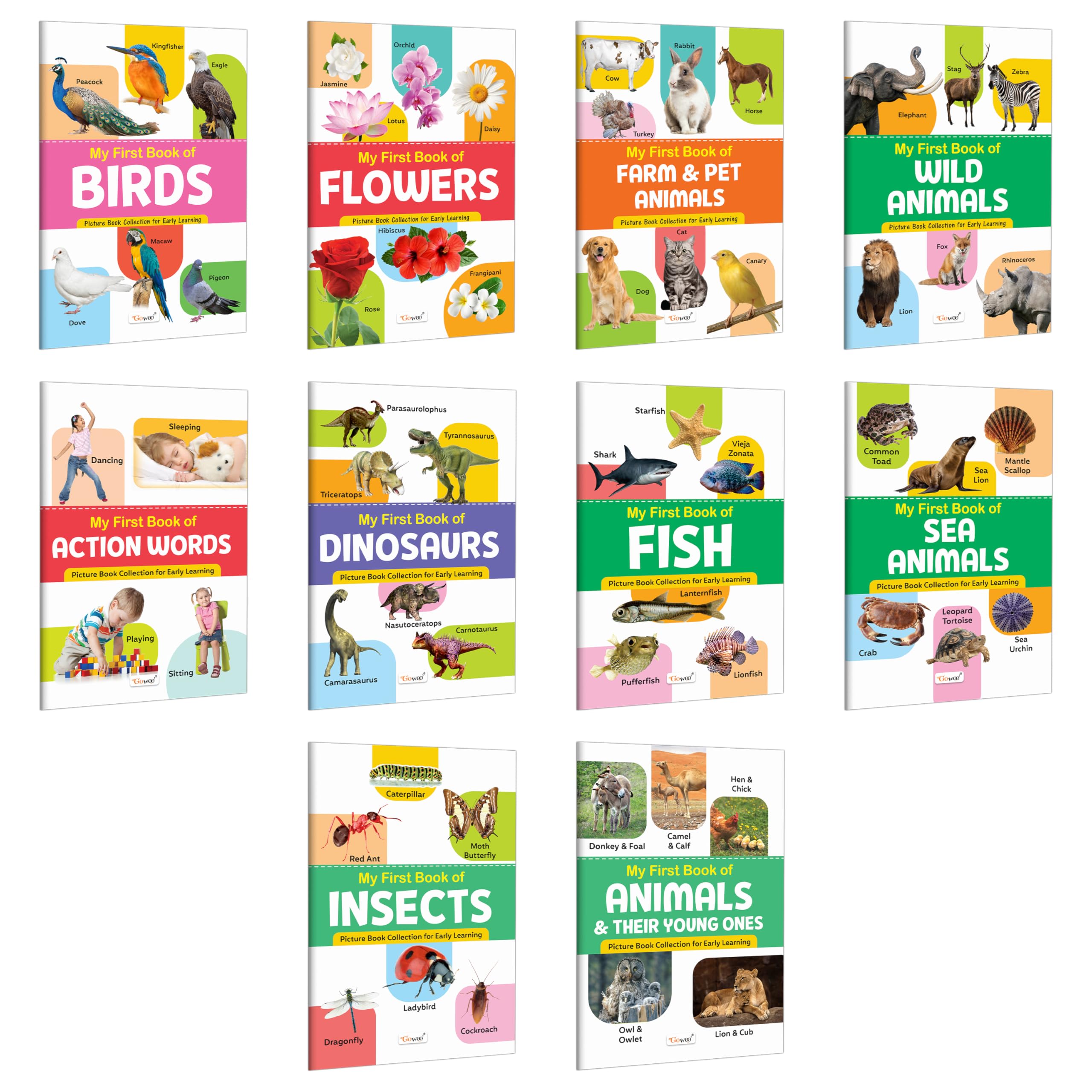 My First Book of Birds, Flowers, Farm & Pet Animals and more : toddler learning picture books, Best learning combo for kids, my