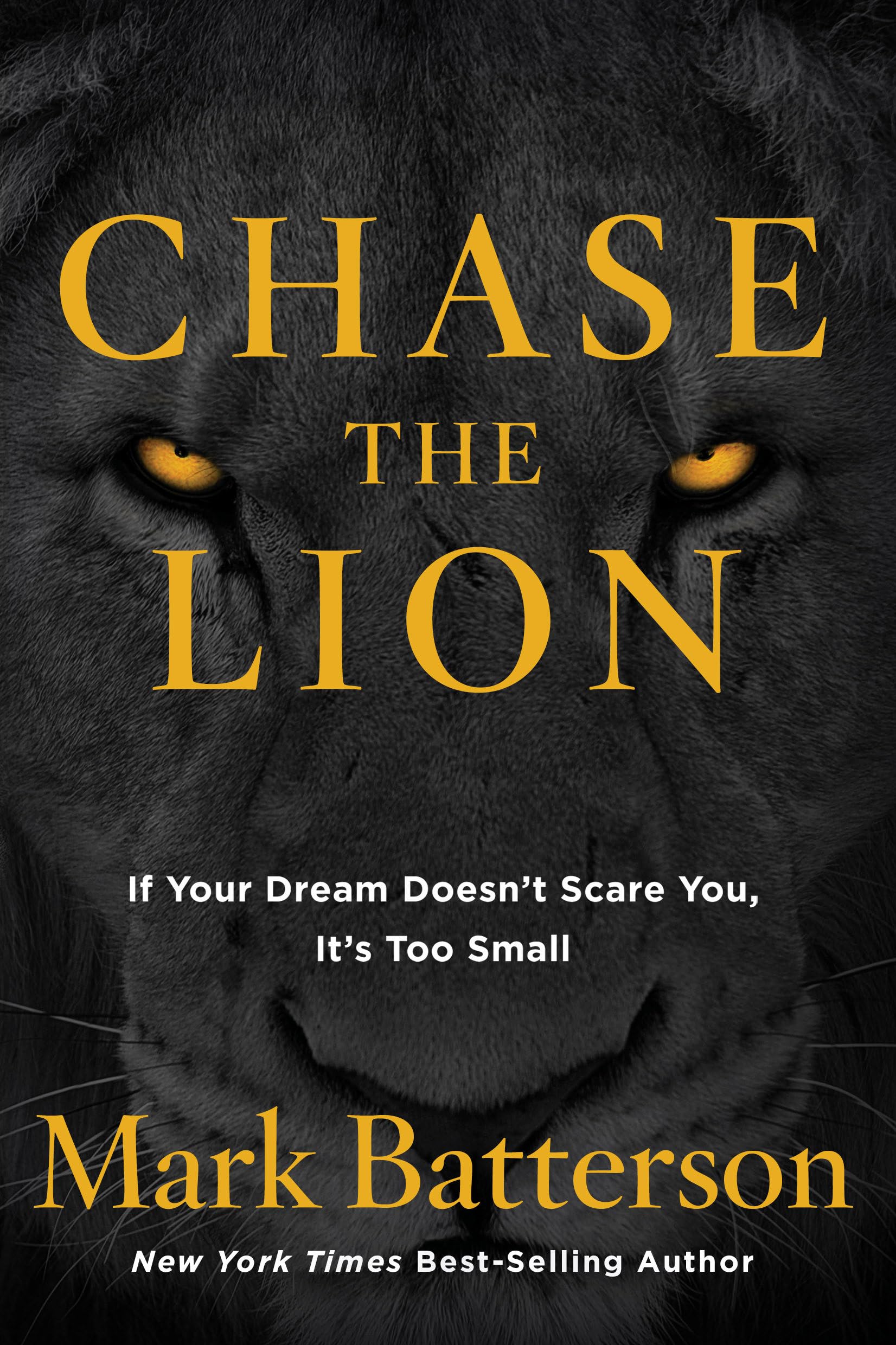 Chase the Lion: If Your Dream Doesnt Scare You, Its Too Small