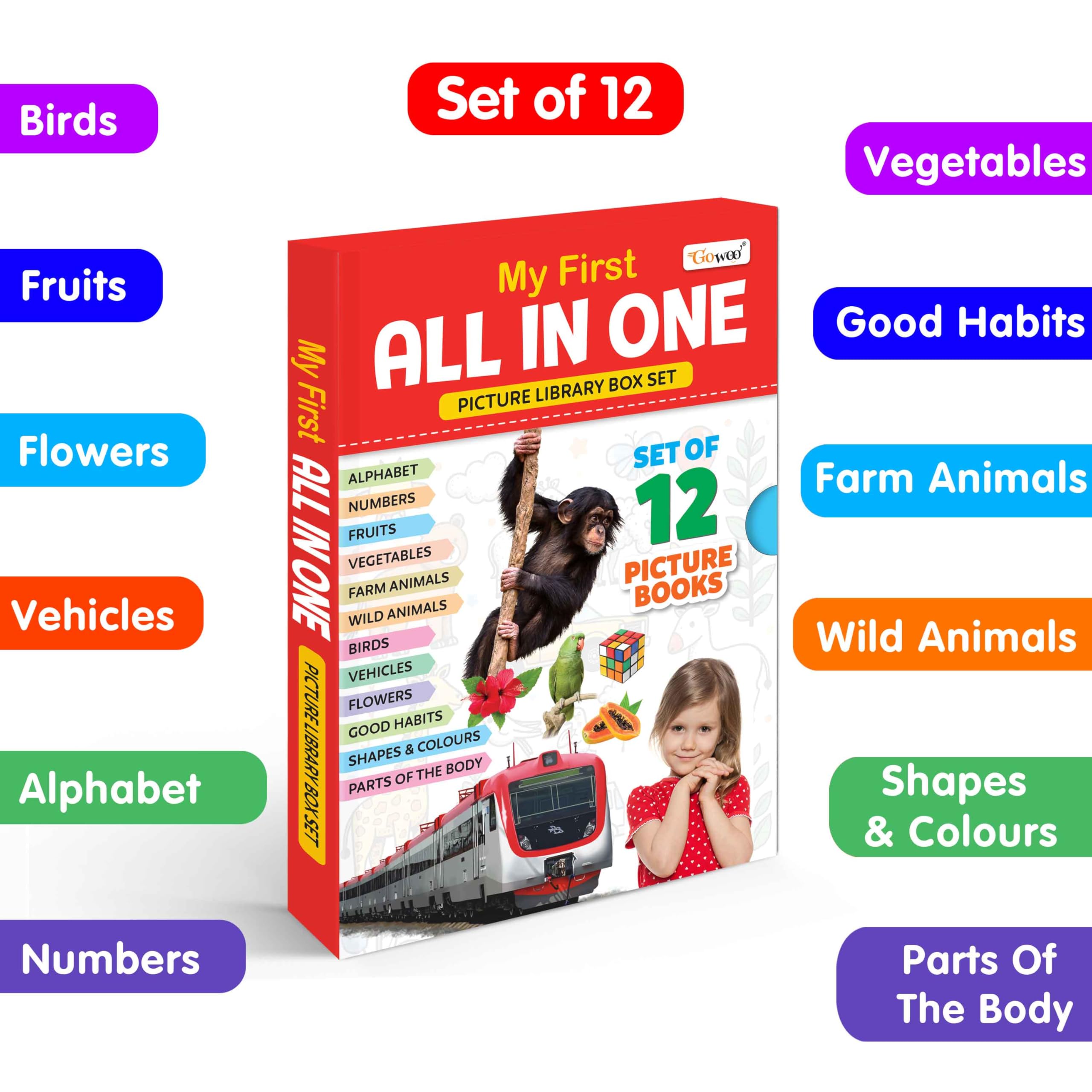 My First All in One Picture Library Box (Red Edition) : Learning book for kids, Educational picture books for toddlers, Collecti