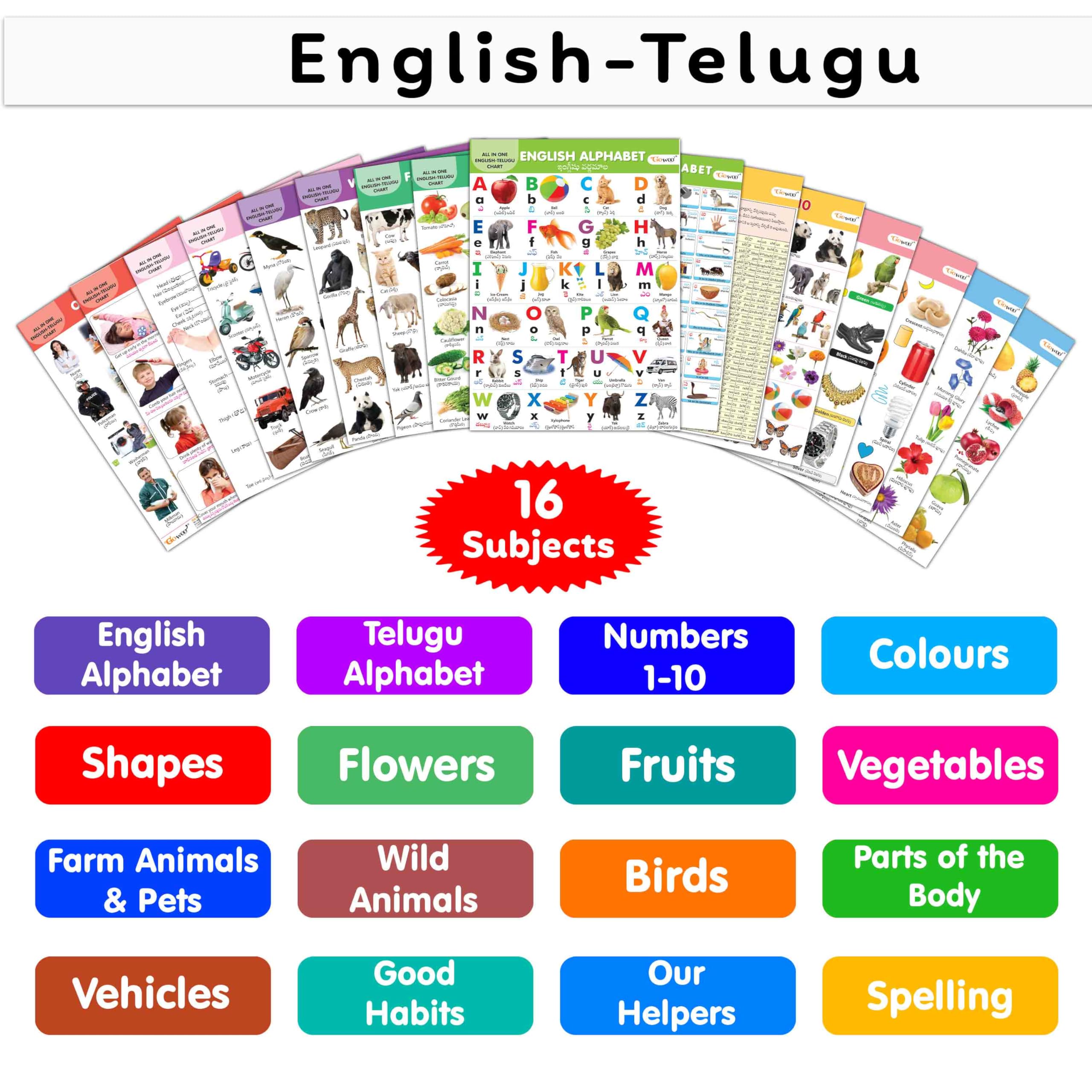ENGLISHTELUGU Chart For Kids (16 Charts ) 36 x 50 cm  Children Spiral Wall Picture Chart