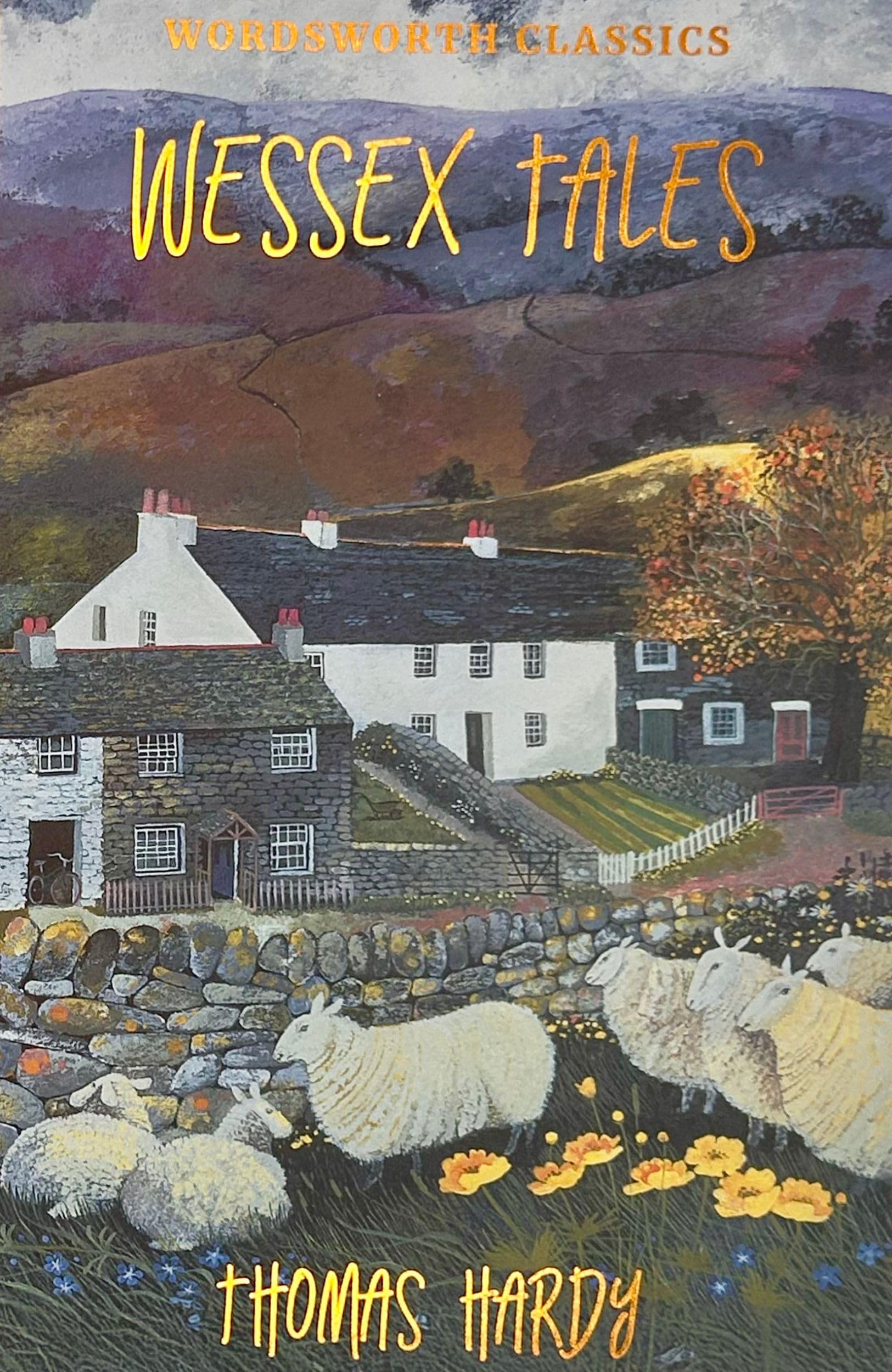 Wessex Tales (Wordsworth Classics)