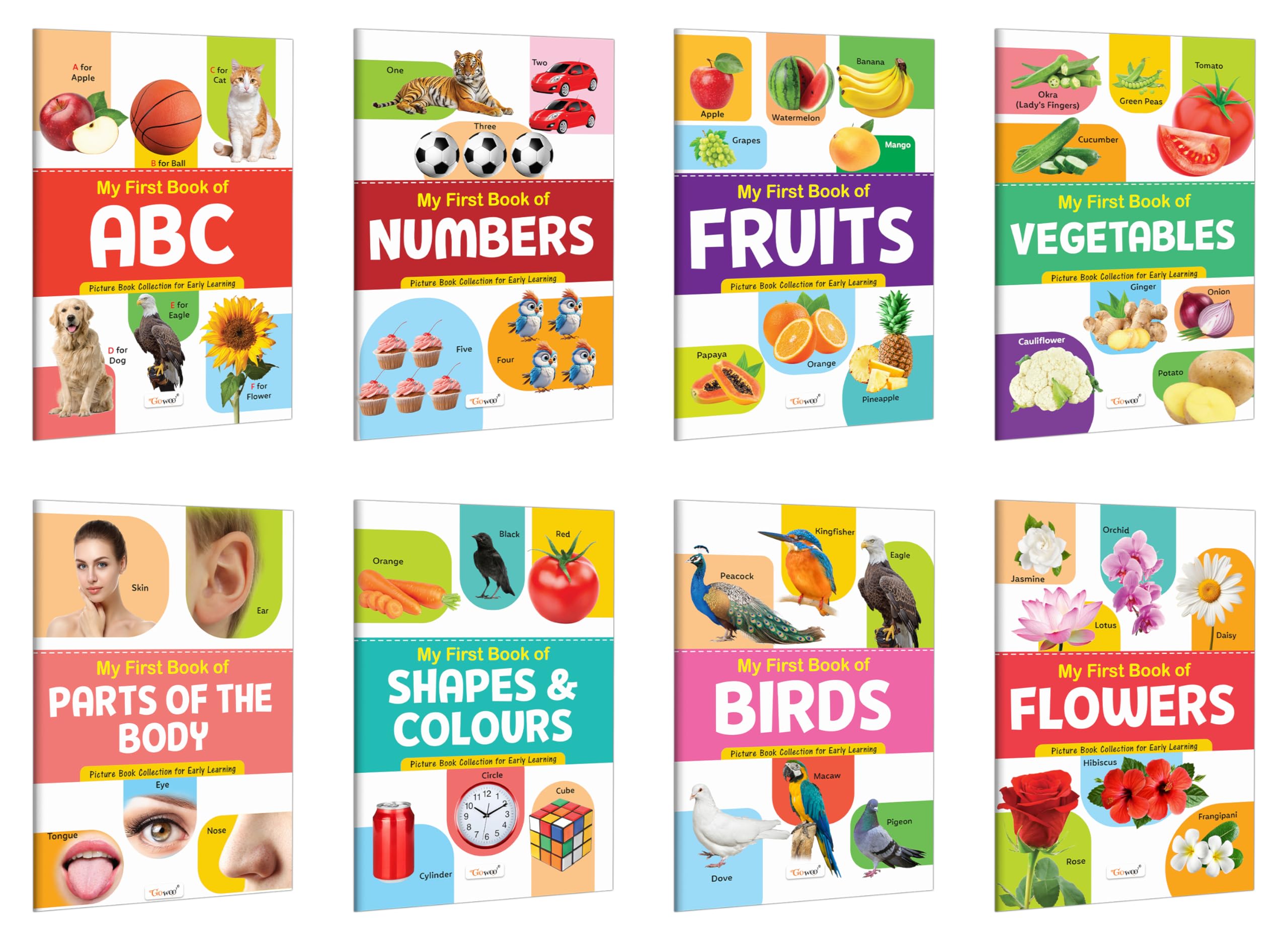 My First Book of ABC, Numbers, Fruits, Birds, Flowers, Parts of the Body, Vegetables and Shapes & Colours : early childhood edu
