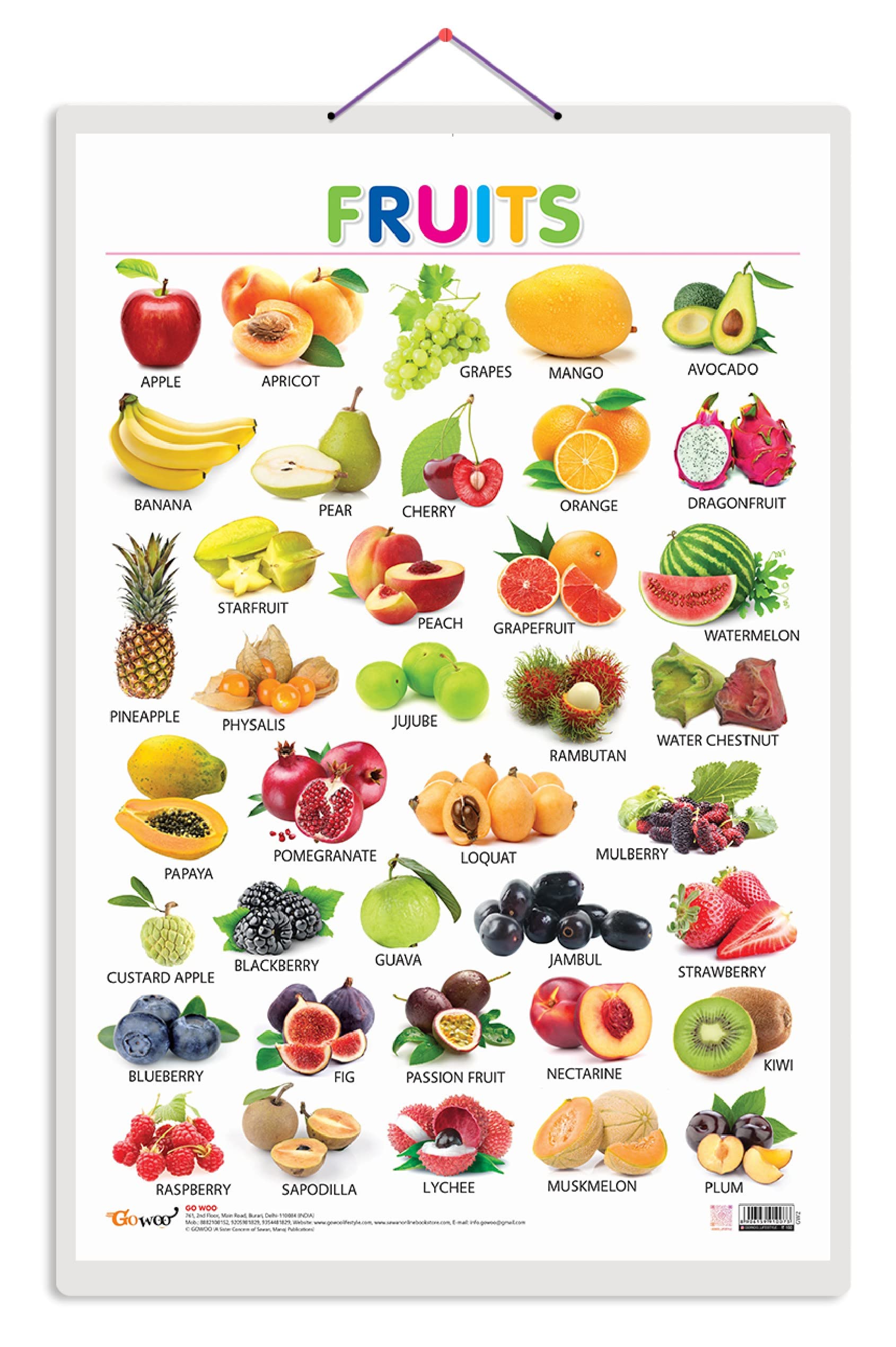 Fruits [Wall Chart] Sawan
