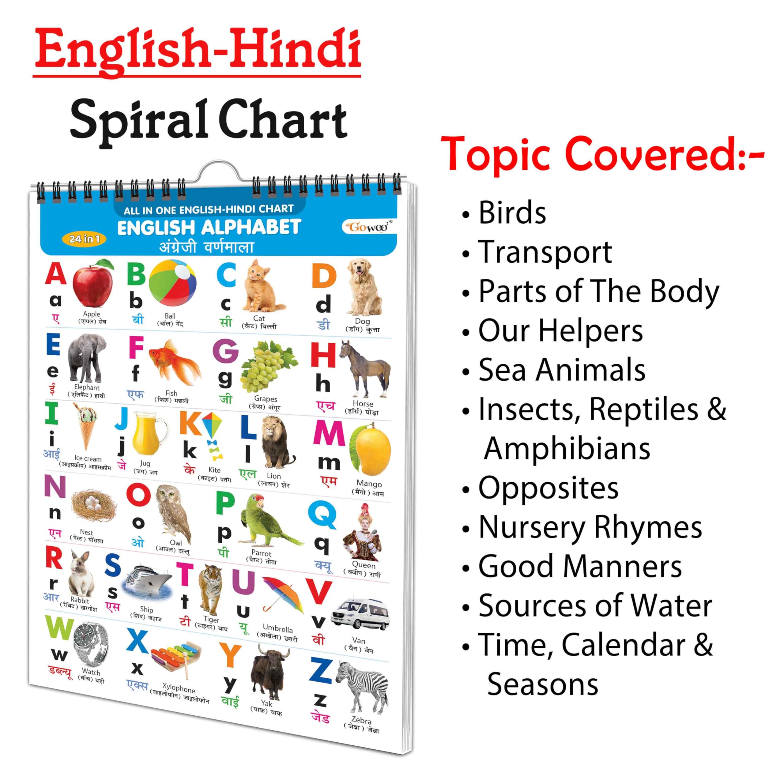 Essential Chart Of All In One : My First ALL IN ONE SPIRAL CHART (ENGLISHHINDI) Educational Chart books for toddlers Collection