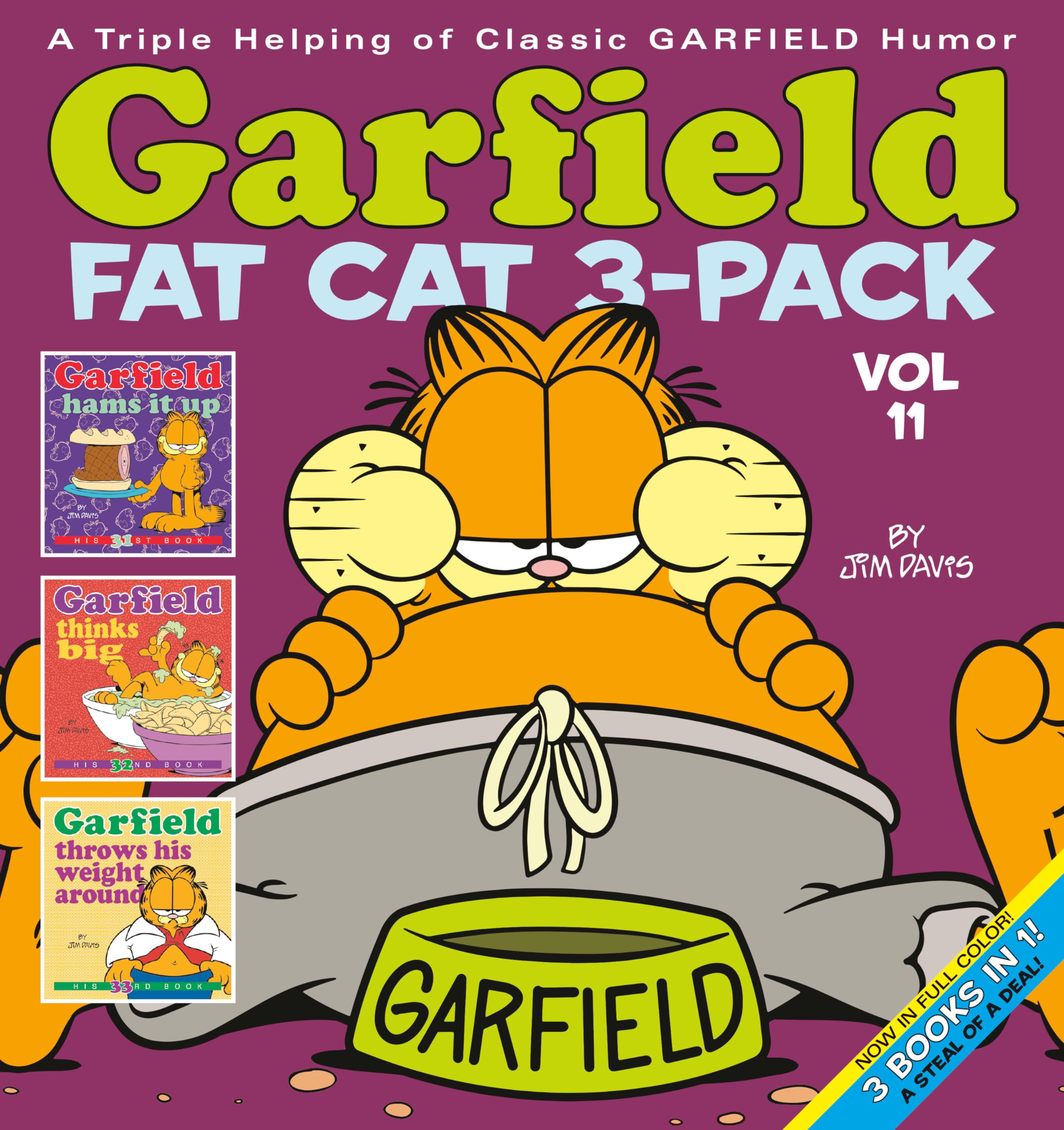 Garfield Fat Cat 3Pack #11