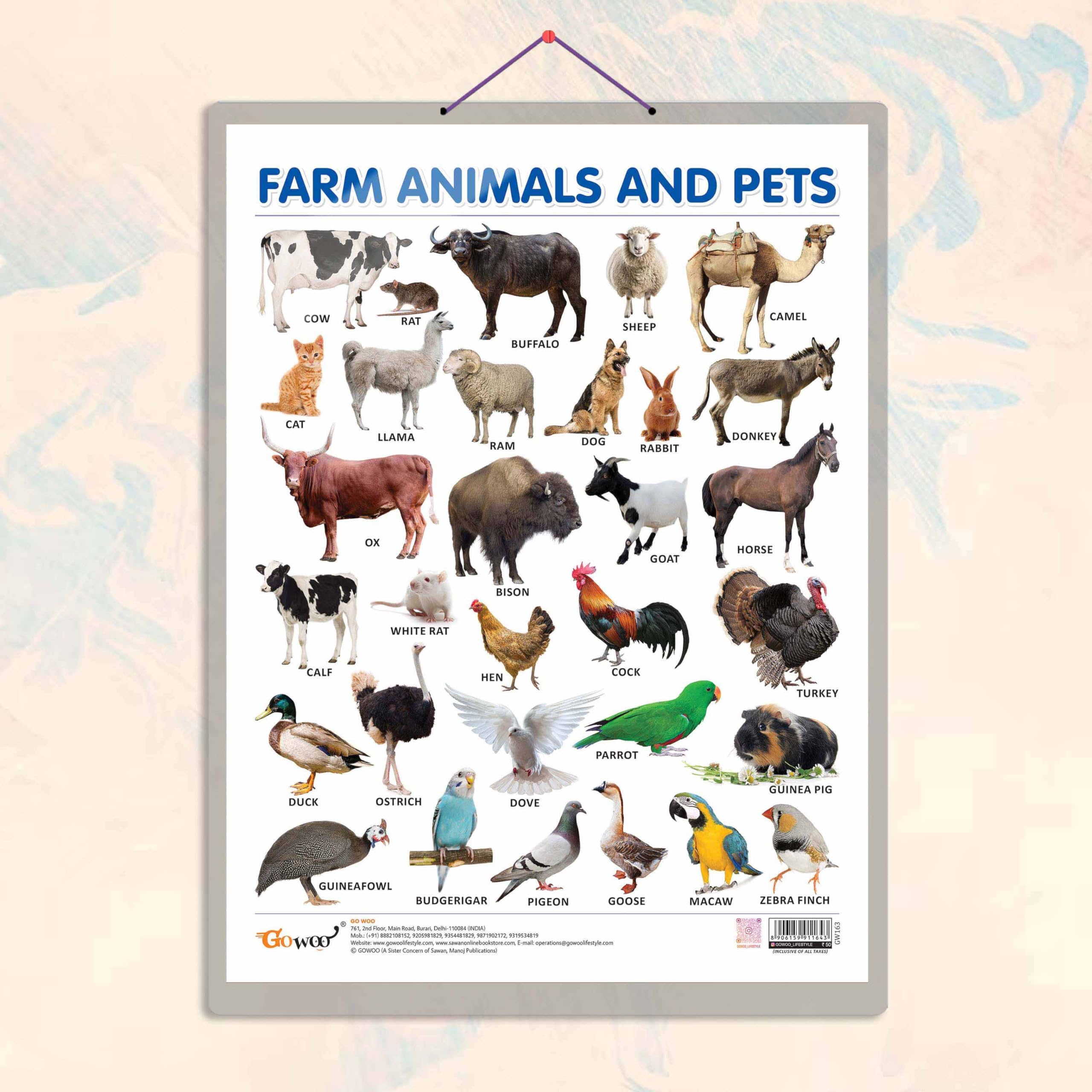 FARM ANIMALS AND PETS CHART HARD LAMINATED | Animal Companions Unleashed: Durable Laminated Chart for Kids