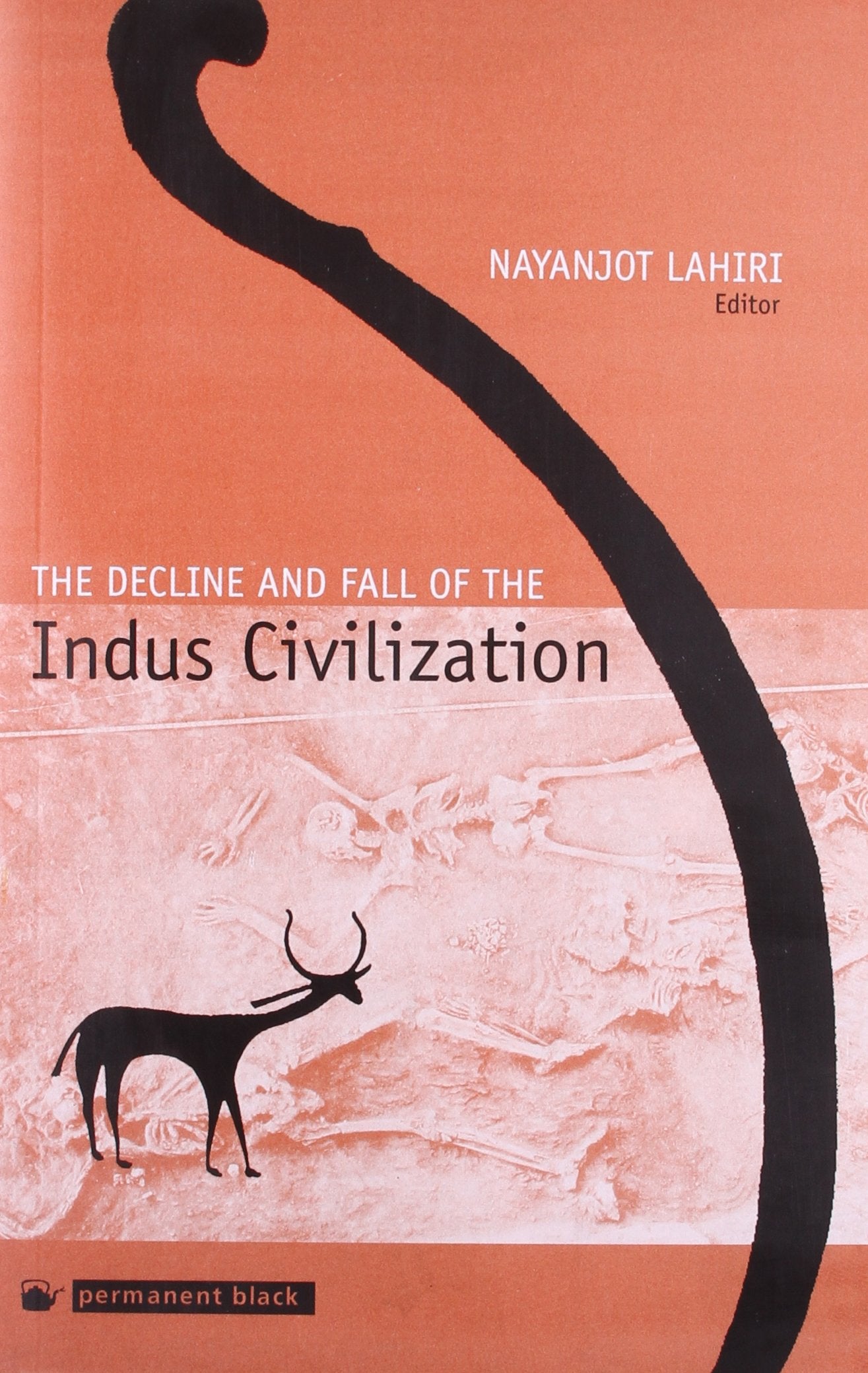 DECLINE & FALL OF THE INDUS CIVILIZATION (PB)