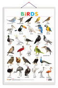 Birds [Wall Chart] Sawan