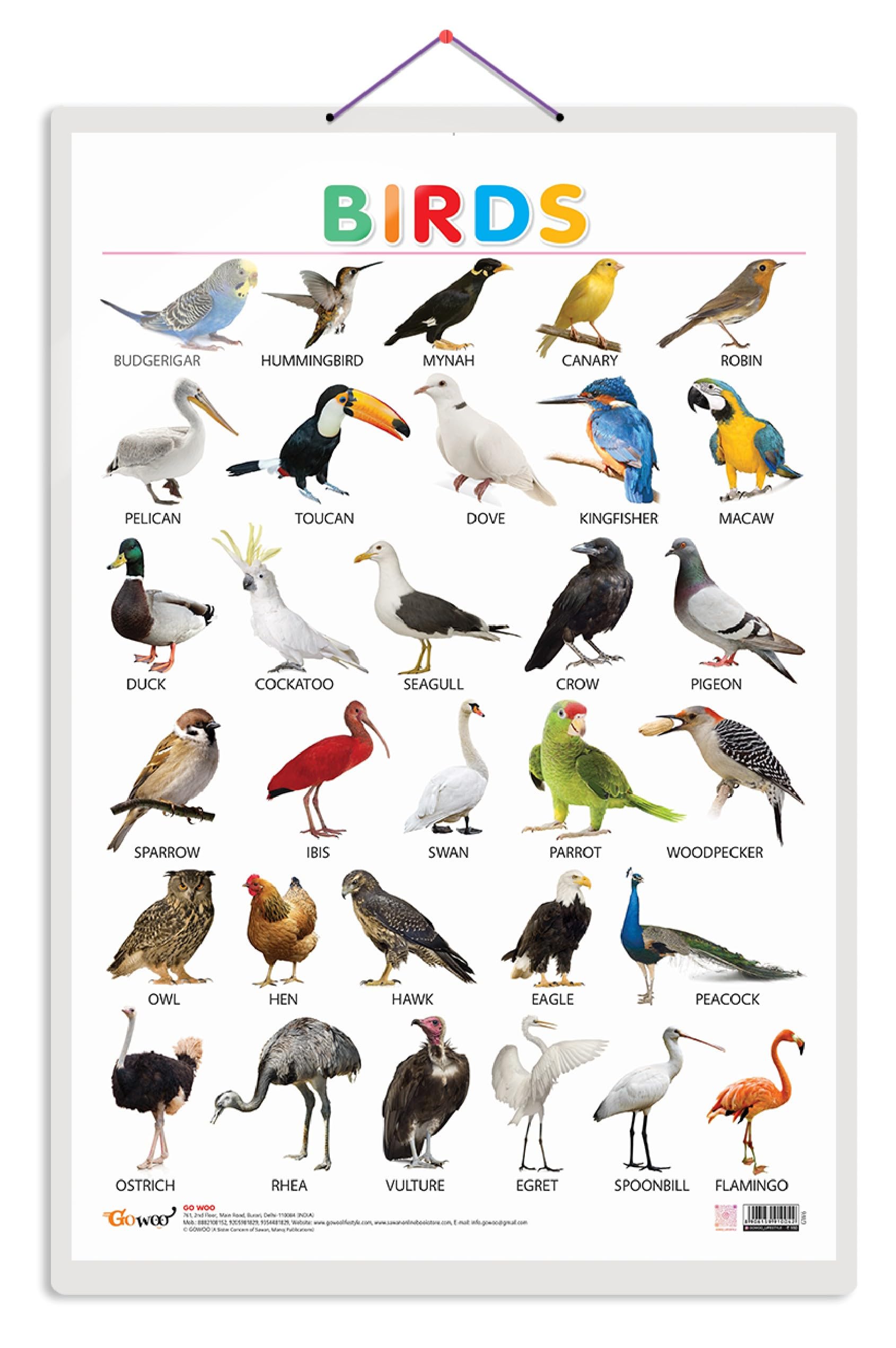 Birds [Wall Chart] Sawan
