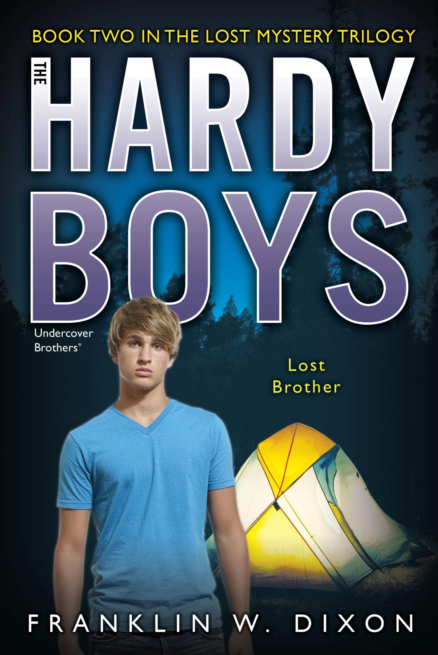 Lost Brother: Book Two in the Lost Mystery Trilogy (Hardy Boys, Undercover Brothers #35)