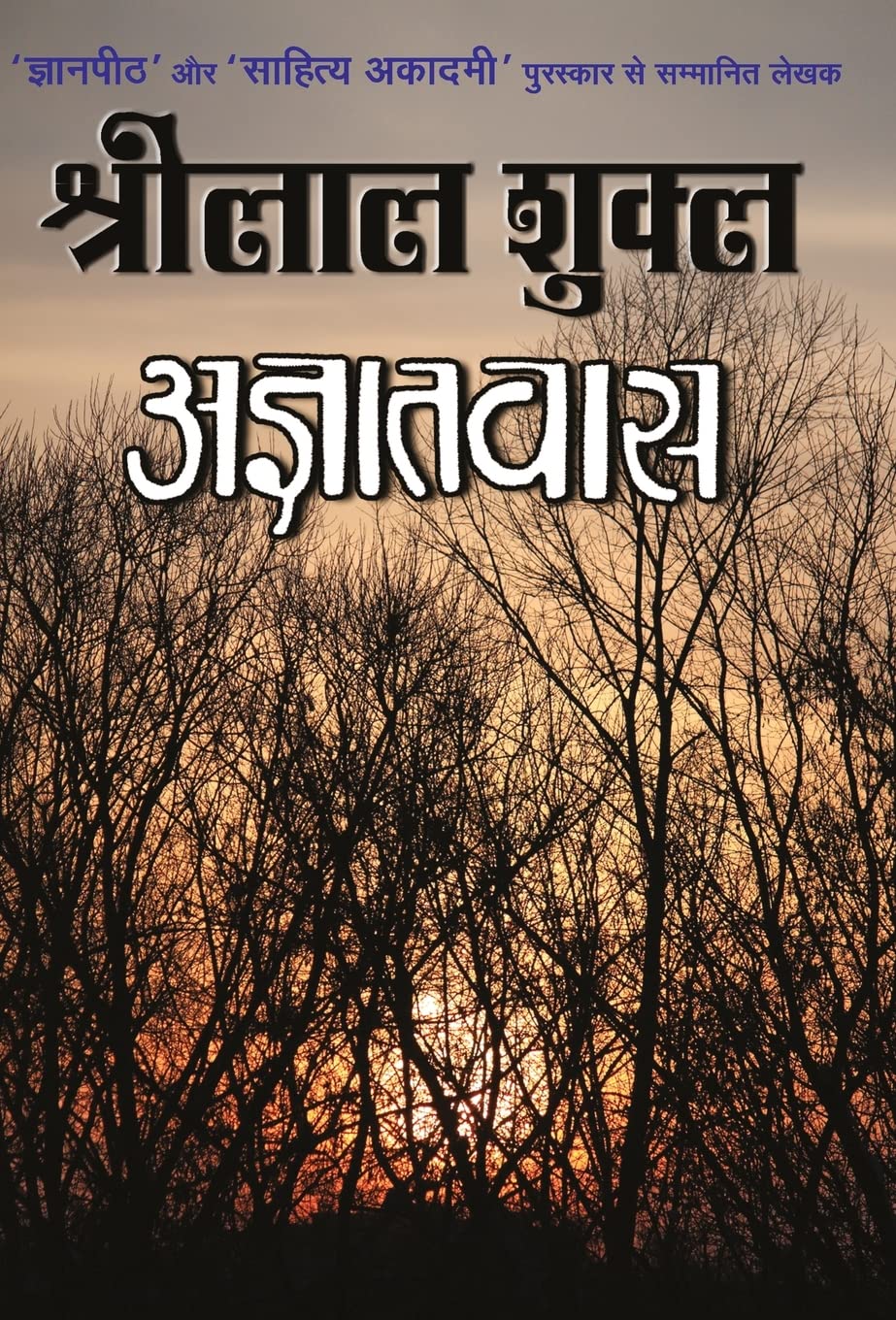 Agyatvaas (Hindi Edition)