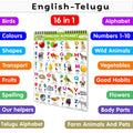 My First ALL IN ONE SPIRAL CHART ENGLISHTELUGU : With 16 Topics : English Alphabet, Telugu Alphabet, Spelling, Number 110, Col