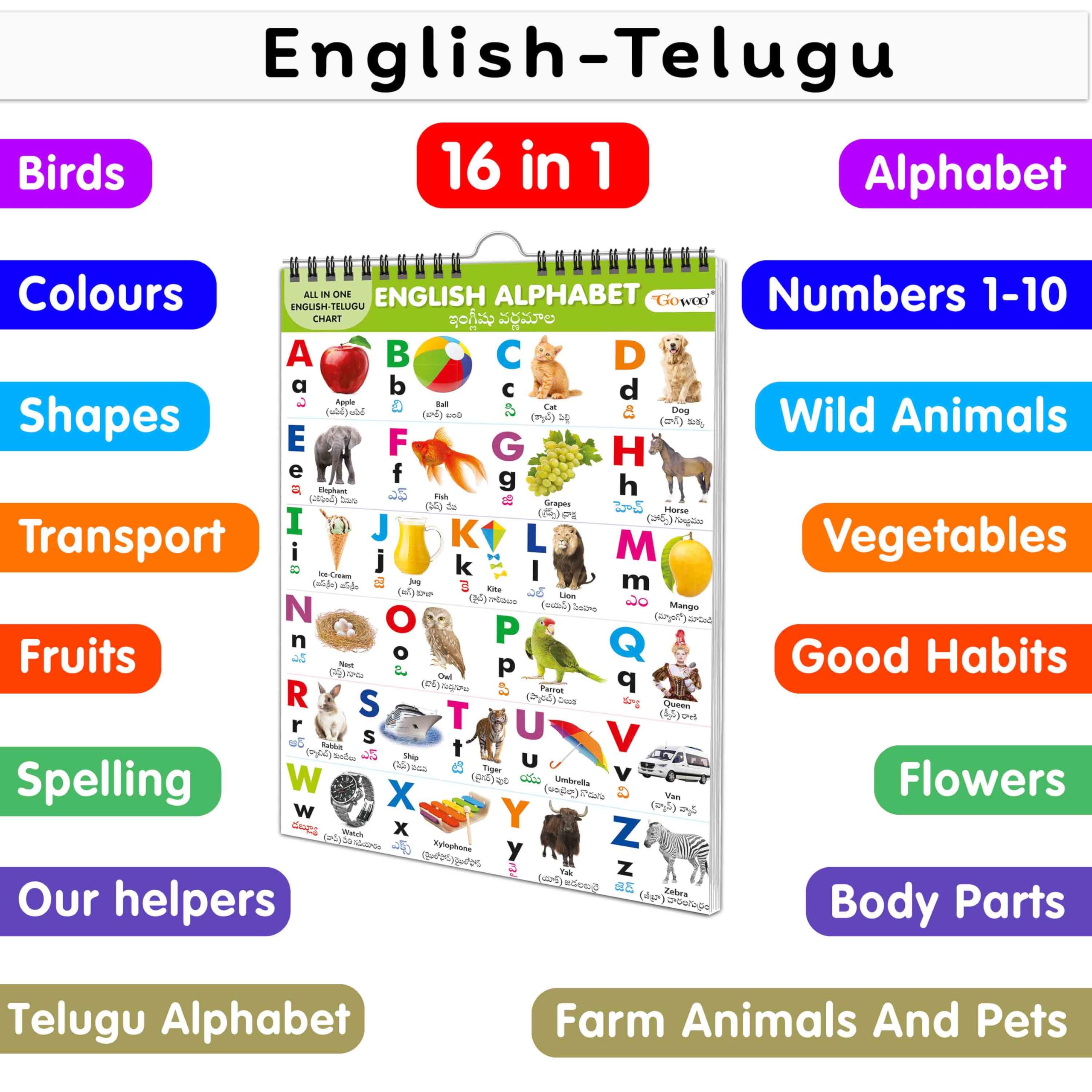 My First ALL IN ONE SPIRAL CHART ENGLISHTELUGU : With 16 Topics : English Alphabet, Telugu Alphabet, Spelling, Number 110, Col