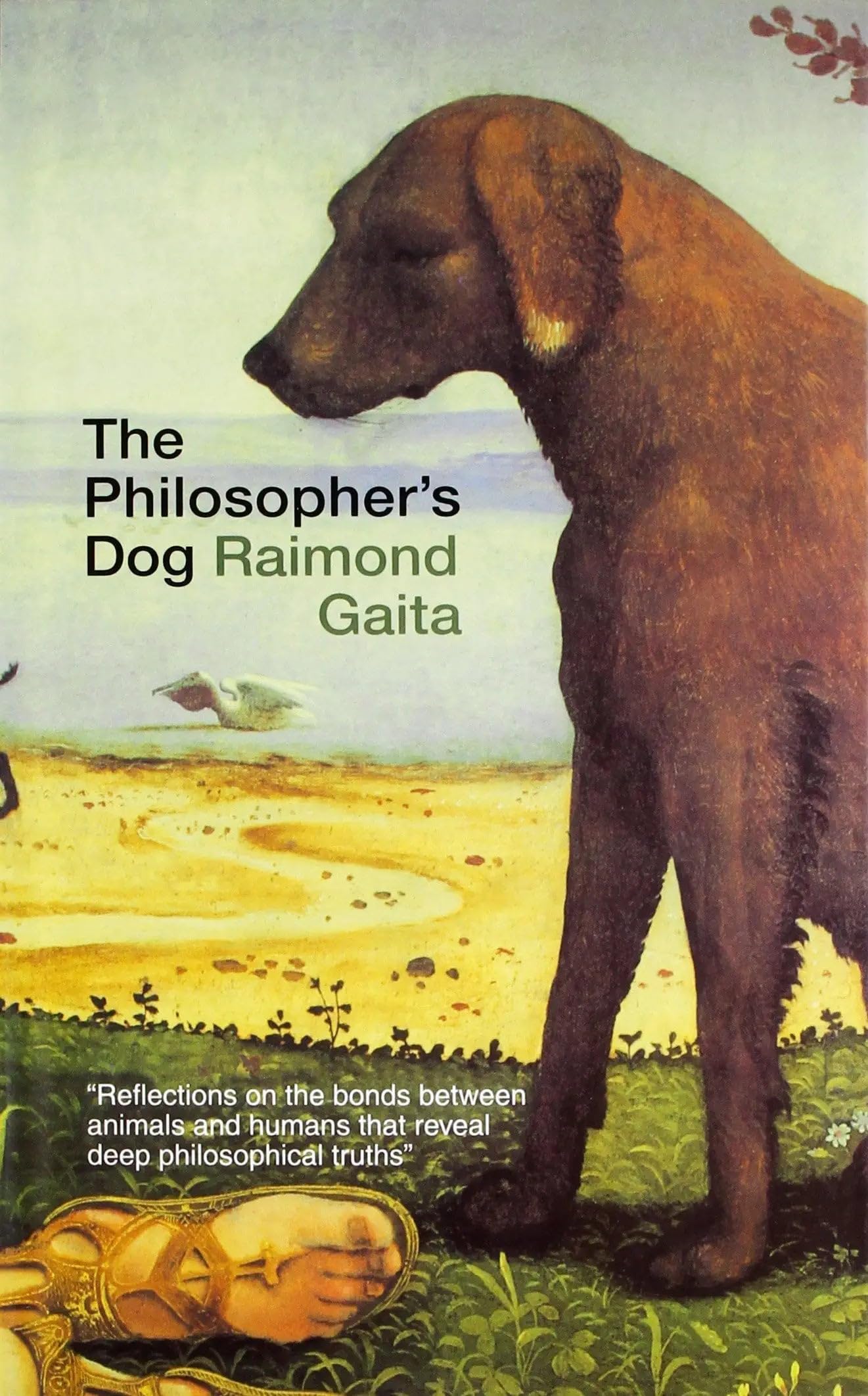 The Philosophers Dog