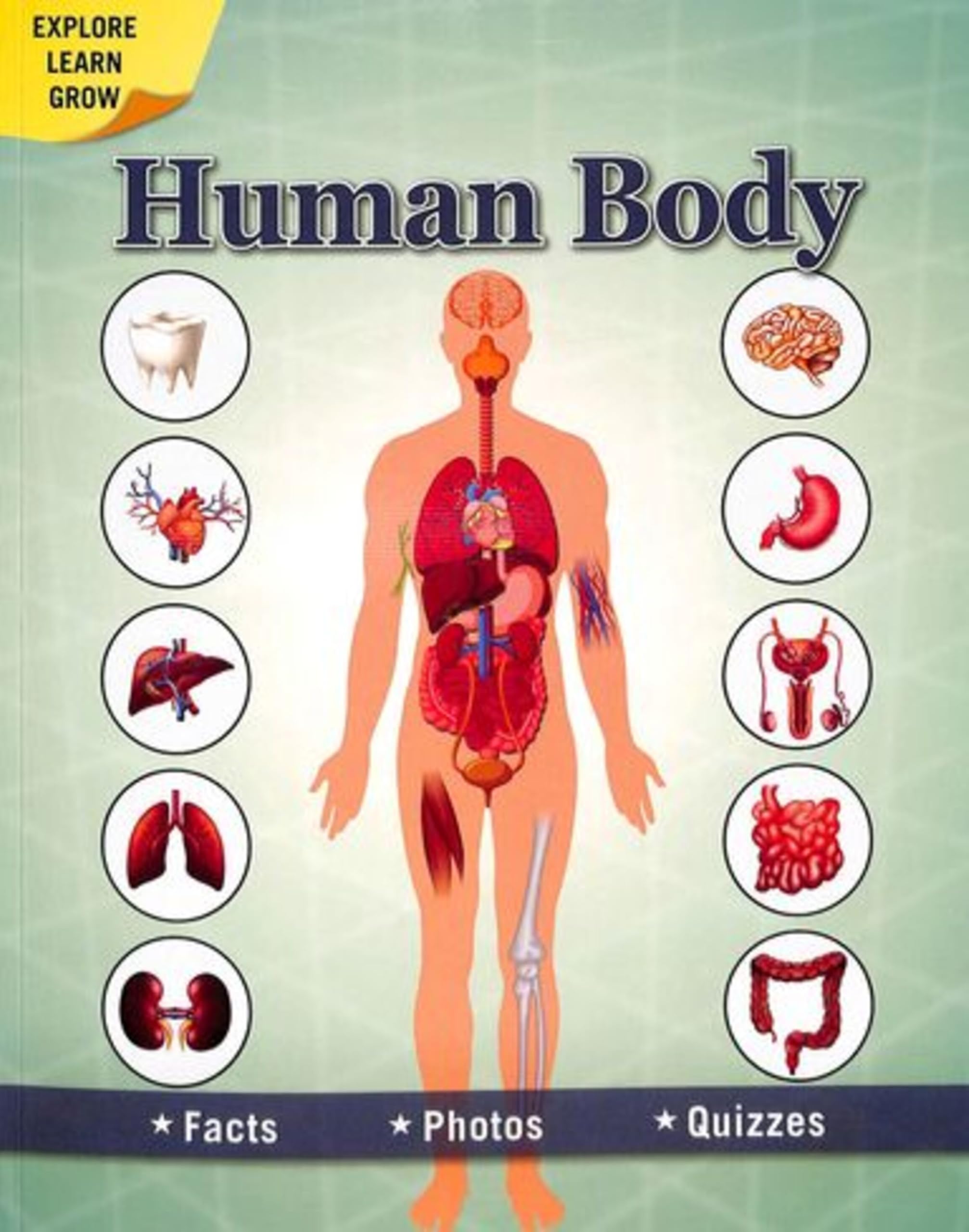 Human Body : Facts Photos Quizzes