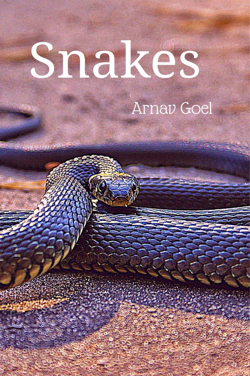 Snakes