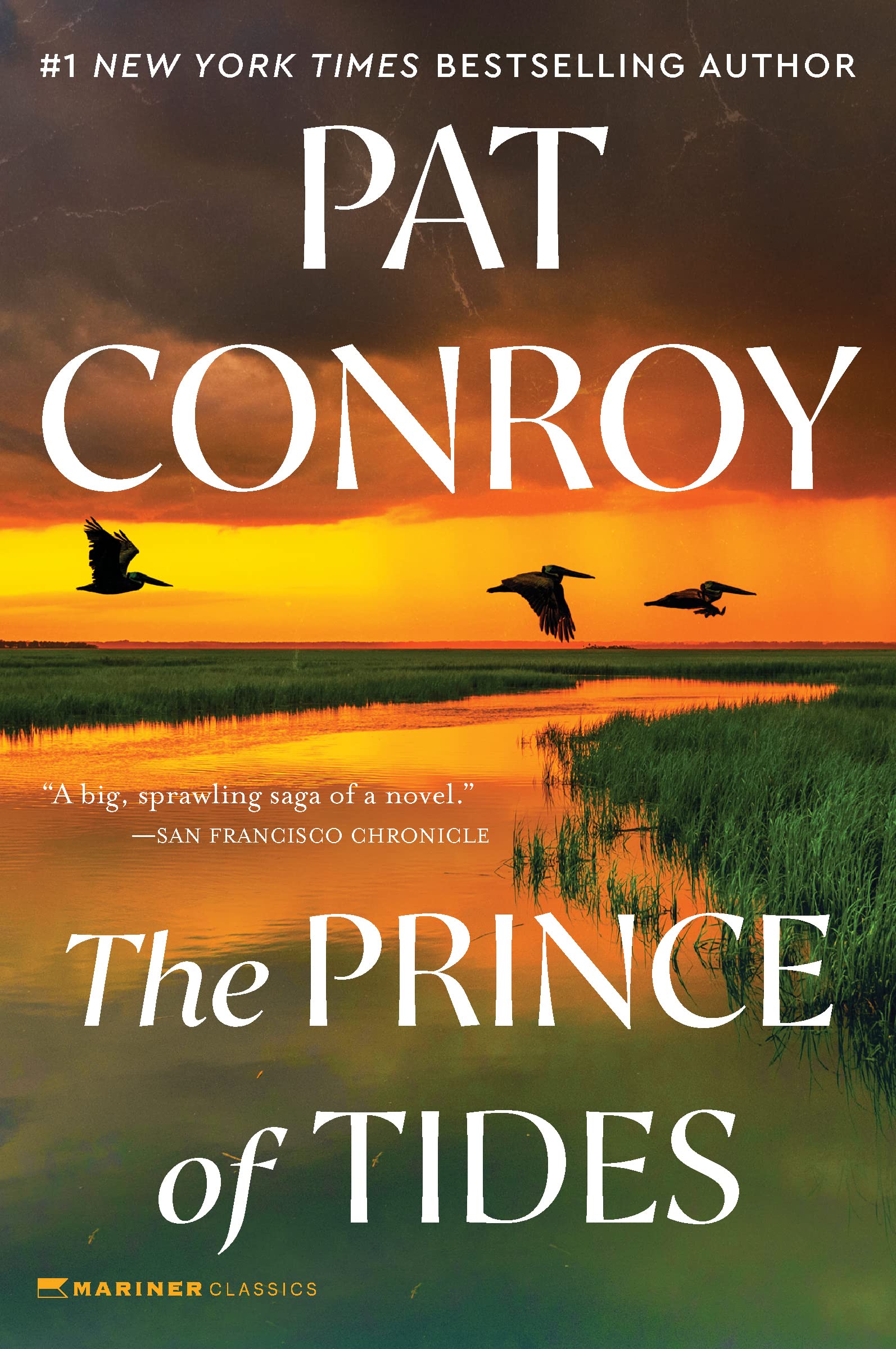 The Prince of Tides: An AwardWinning Southern Drama