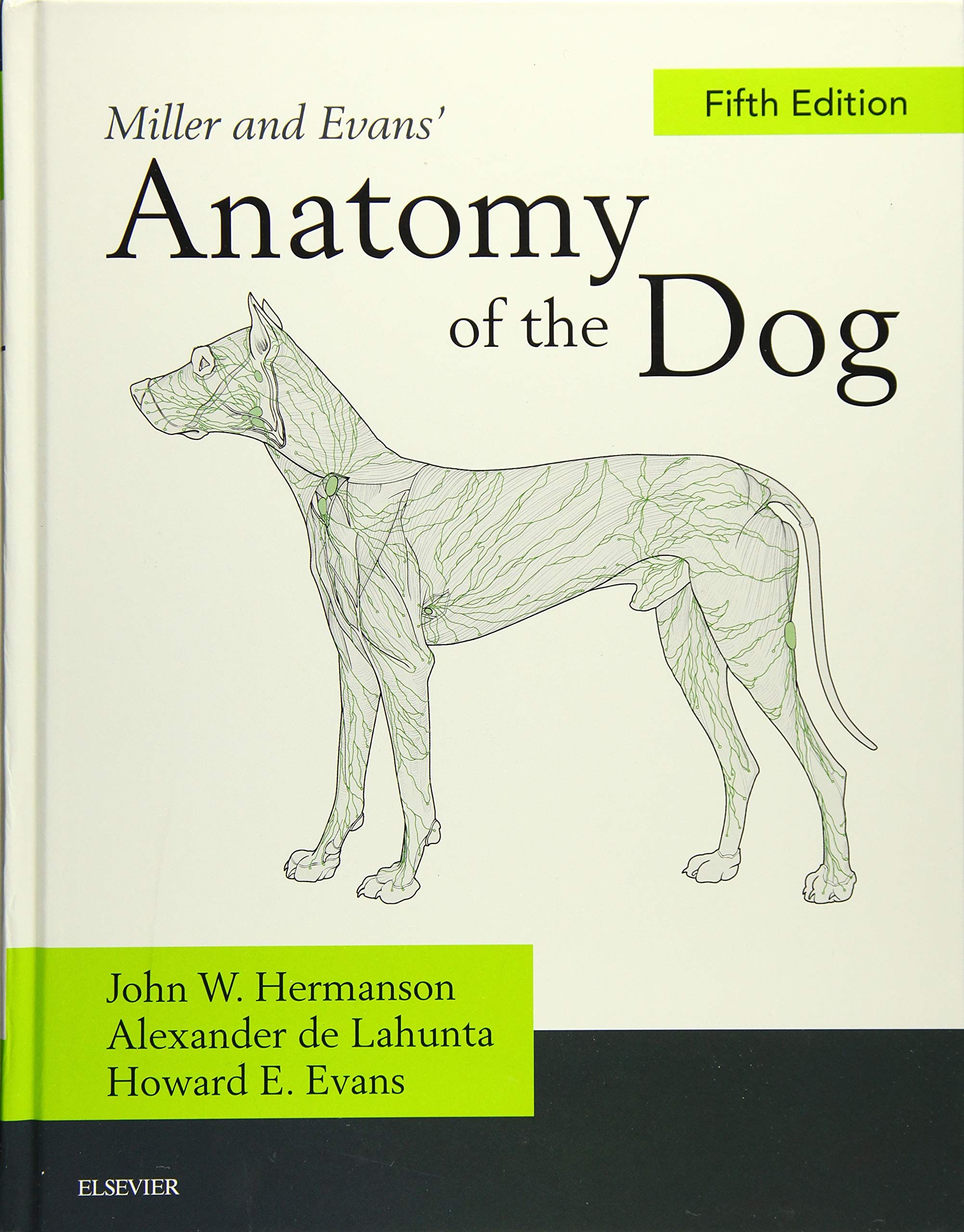 Millers Anatomy of the Dog