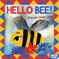 Hello Bee!:A mirror searchandfind: A minibeast searchandfind mirror book (Mirror Magic)