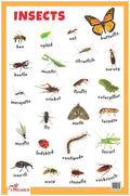 Insects  Thick Laminated Primary Chart