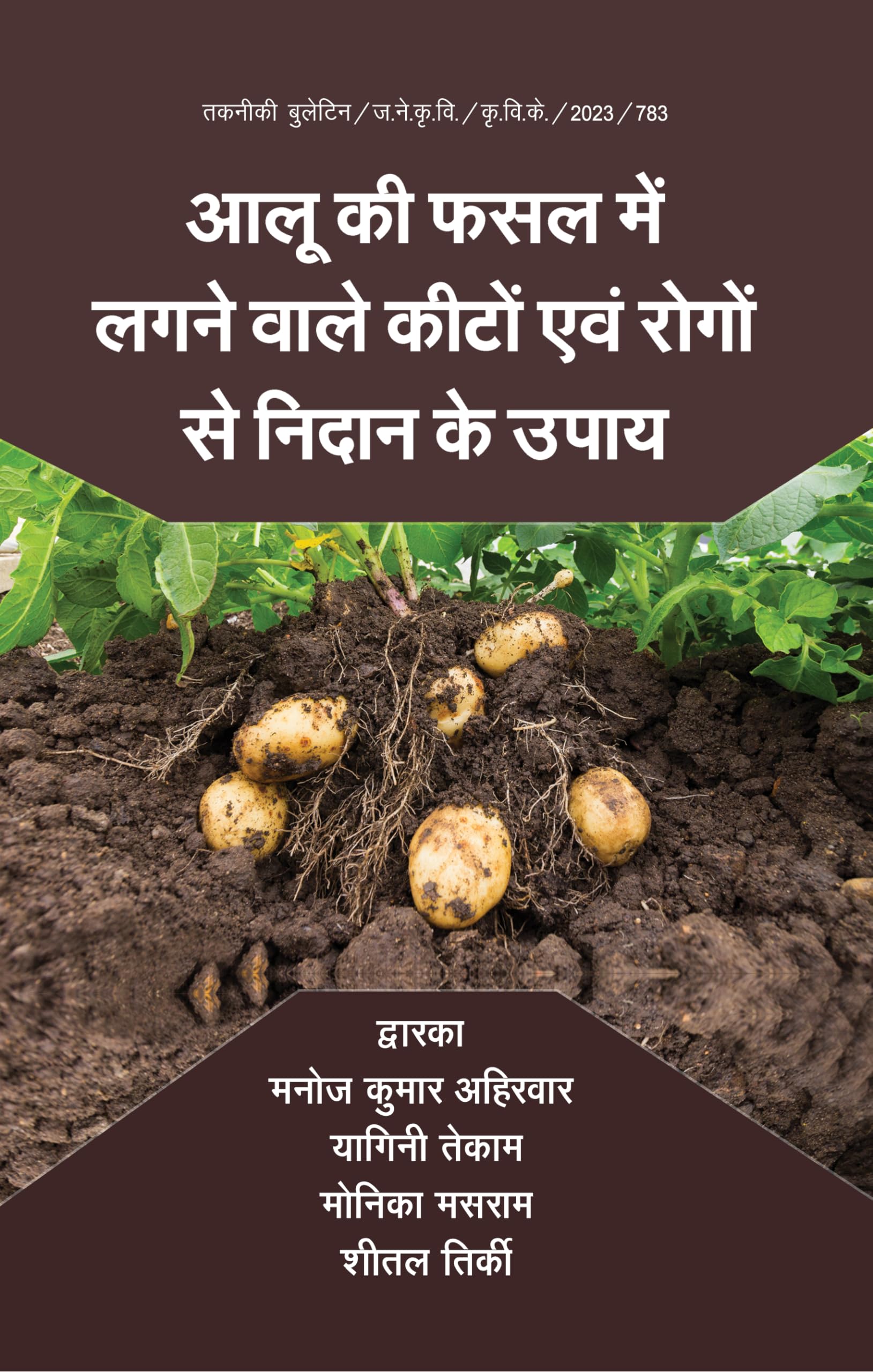 Aloo ki Fasal me Lagne wale Kiton avm Rogon se Nidan ke Upay