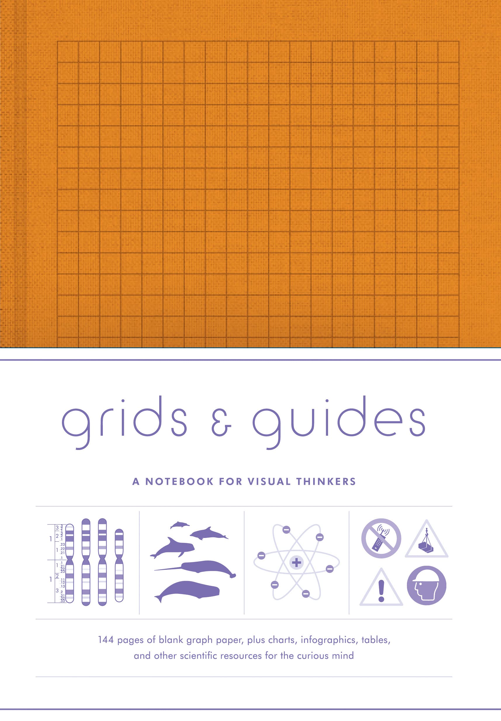 Grids & Guides Orange Notebook: A Notebook for Visual Thinkers