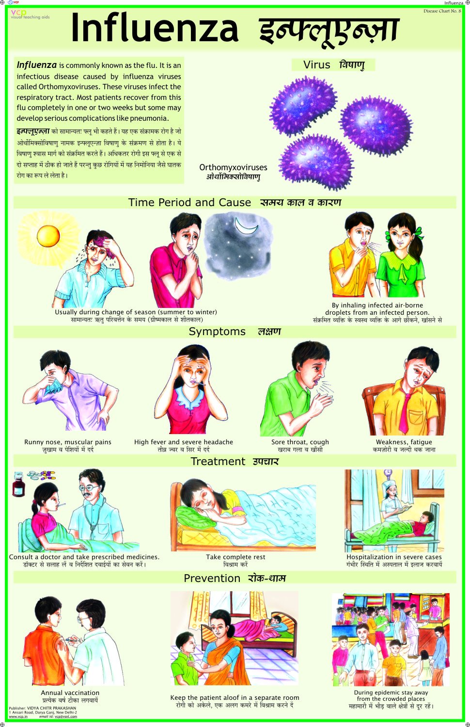 Influenza Chart