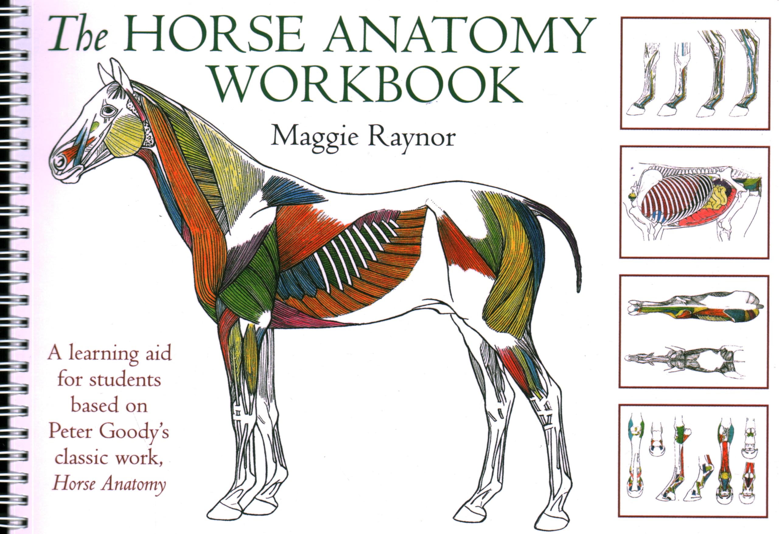 Horse Anatomy Workbook: A Learning Aid for Students Based on Peter Goodys Classic Work, Horse Anatomy