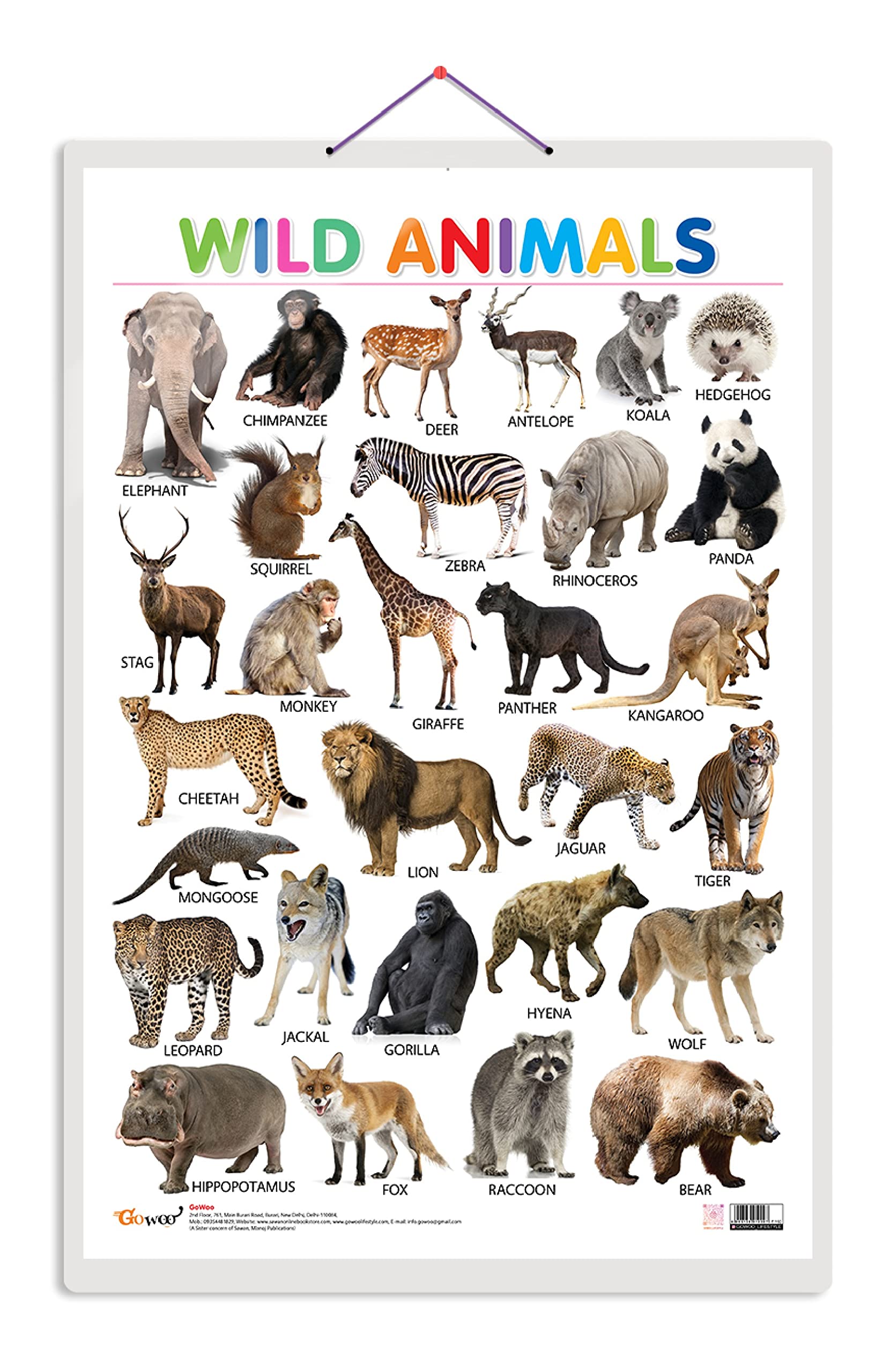 Wild Animals [Wall Chart] Sawan