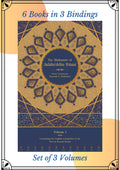 The Mathnawi Of JalaluDdin Rumi (6 Books In 3 Bindings) | Set Of 3 Volumes | Jalaluddin Rumi | Mathnawi Of Rumi In English | Edi