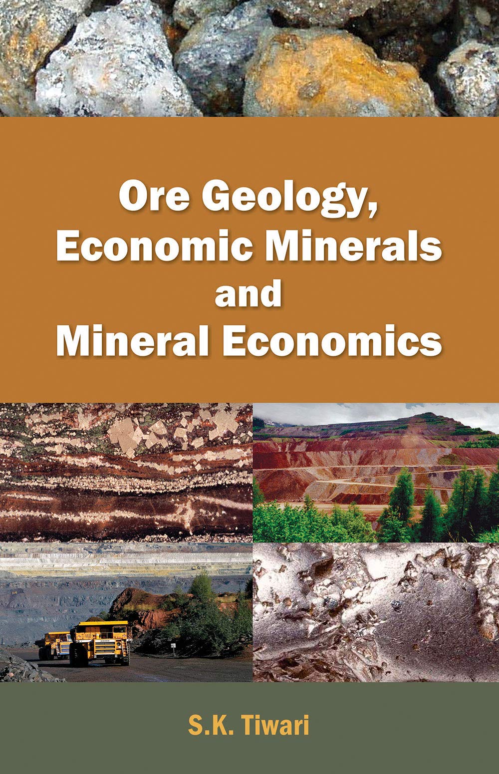 Ore Geology, Economic Minerals And Mineral Economics