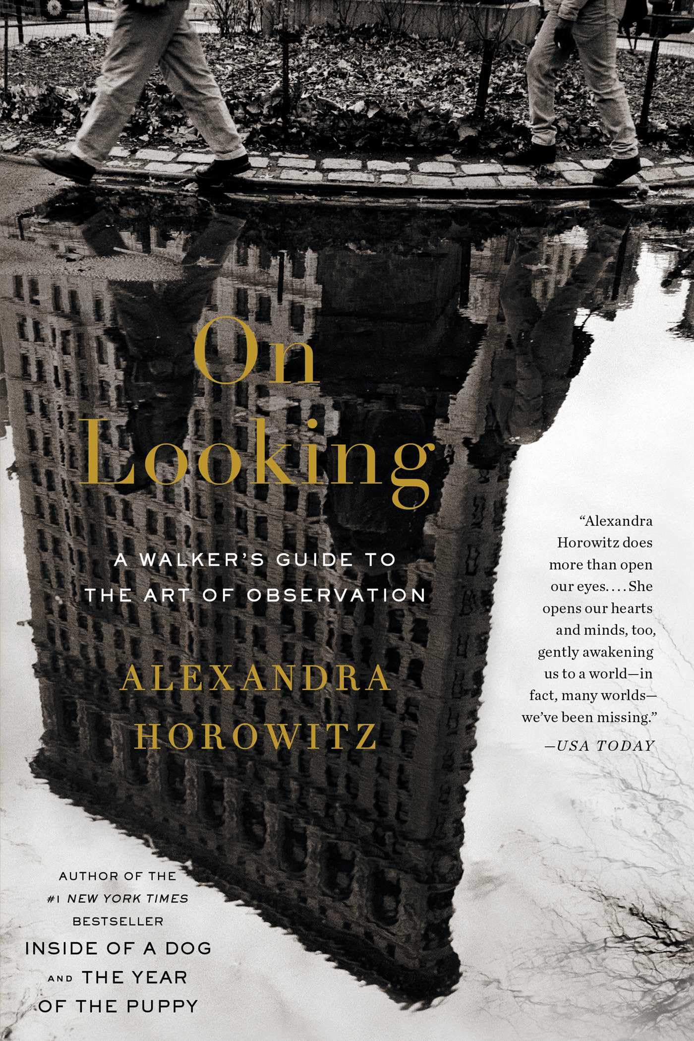 On Looking: A Walkers Guide to the Art of Observation
