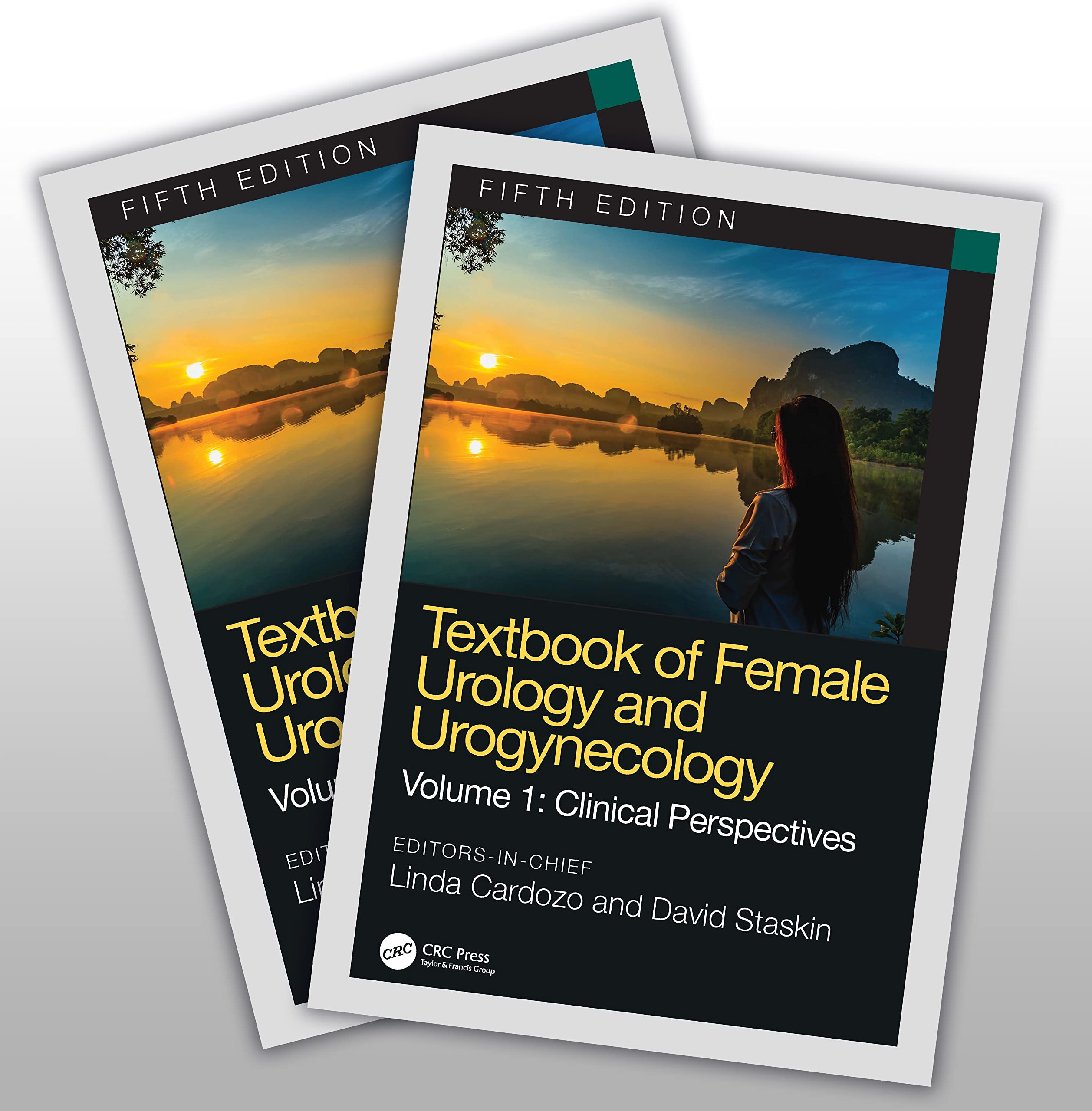 Textbook of Female Urology and Urogynecology: TwoVolume Set