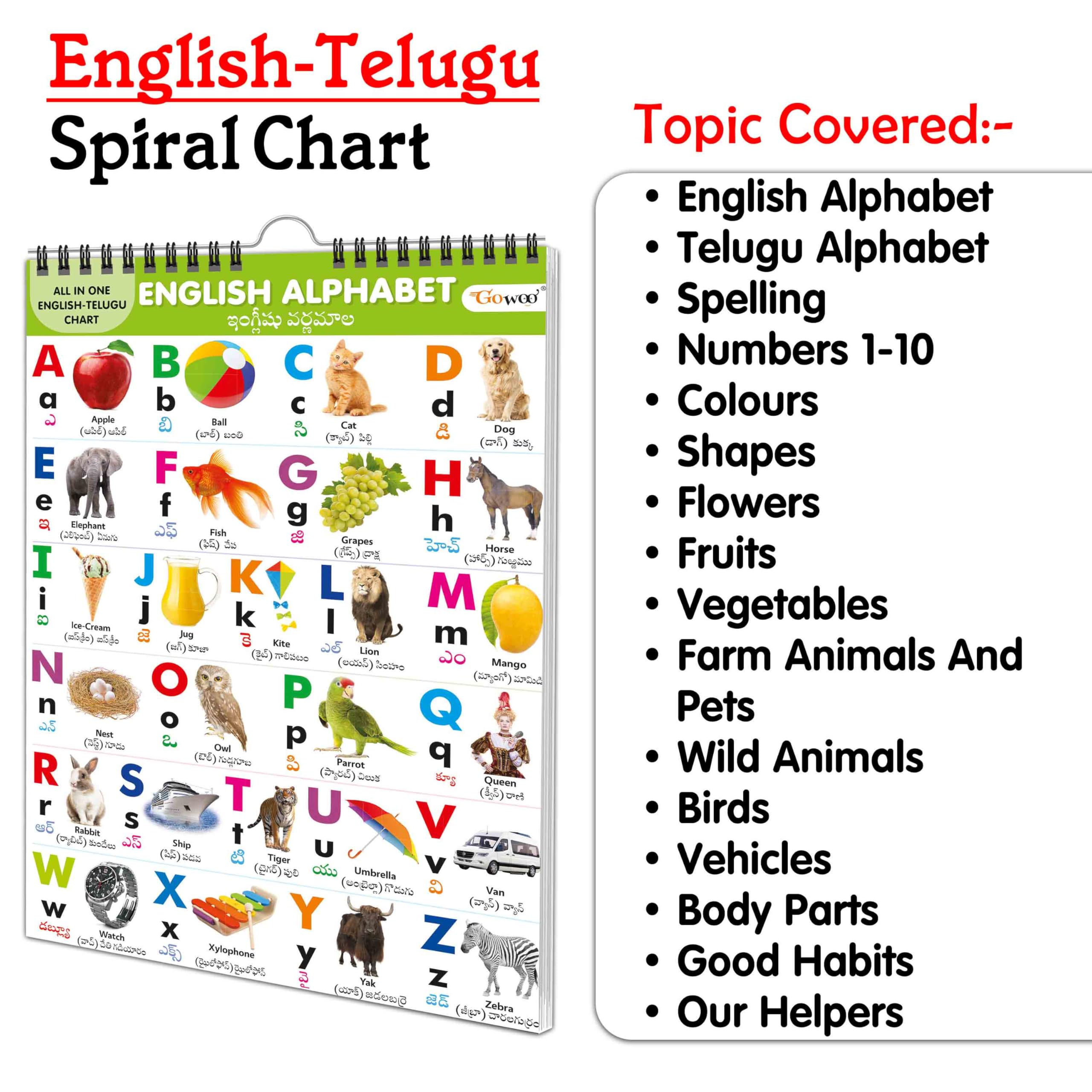 My First ALL IN ONE SPIRAL CHART ENGLISHTELUGU : Chart For Children, Learning Chart For Kids, Early learning Chart With 16 Topi