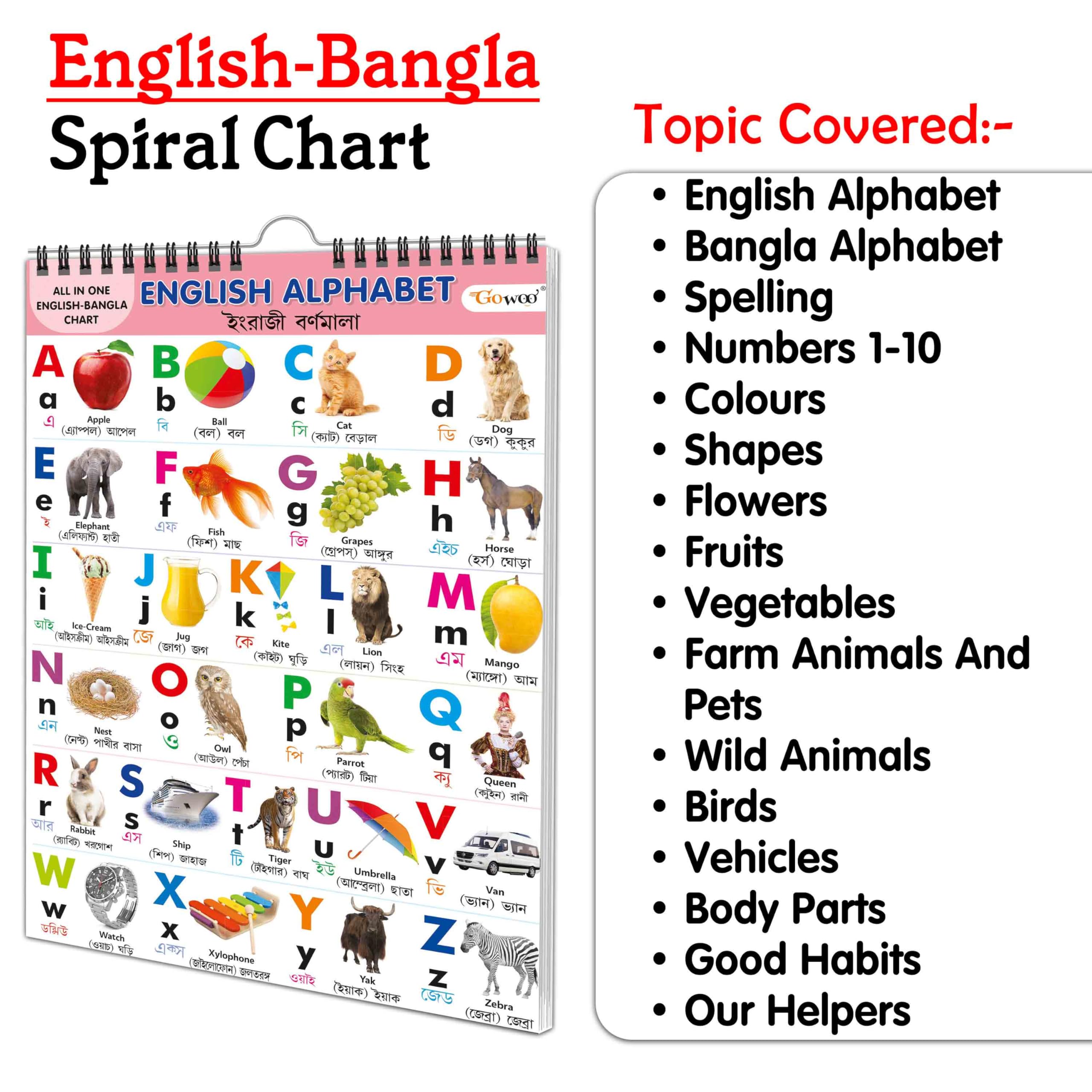My First ALL IN ONE SPIRAL CHART ENGLISHBANGLA : Chart For Children, Learning Chart For Kids, Early learning Chart With 16 Topi