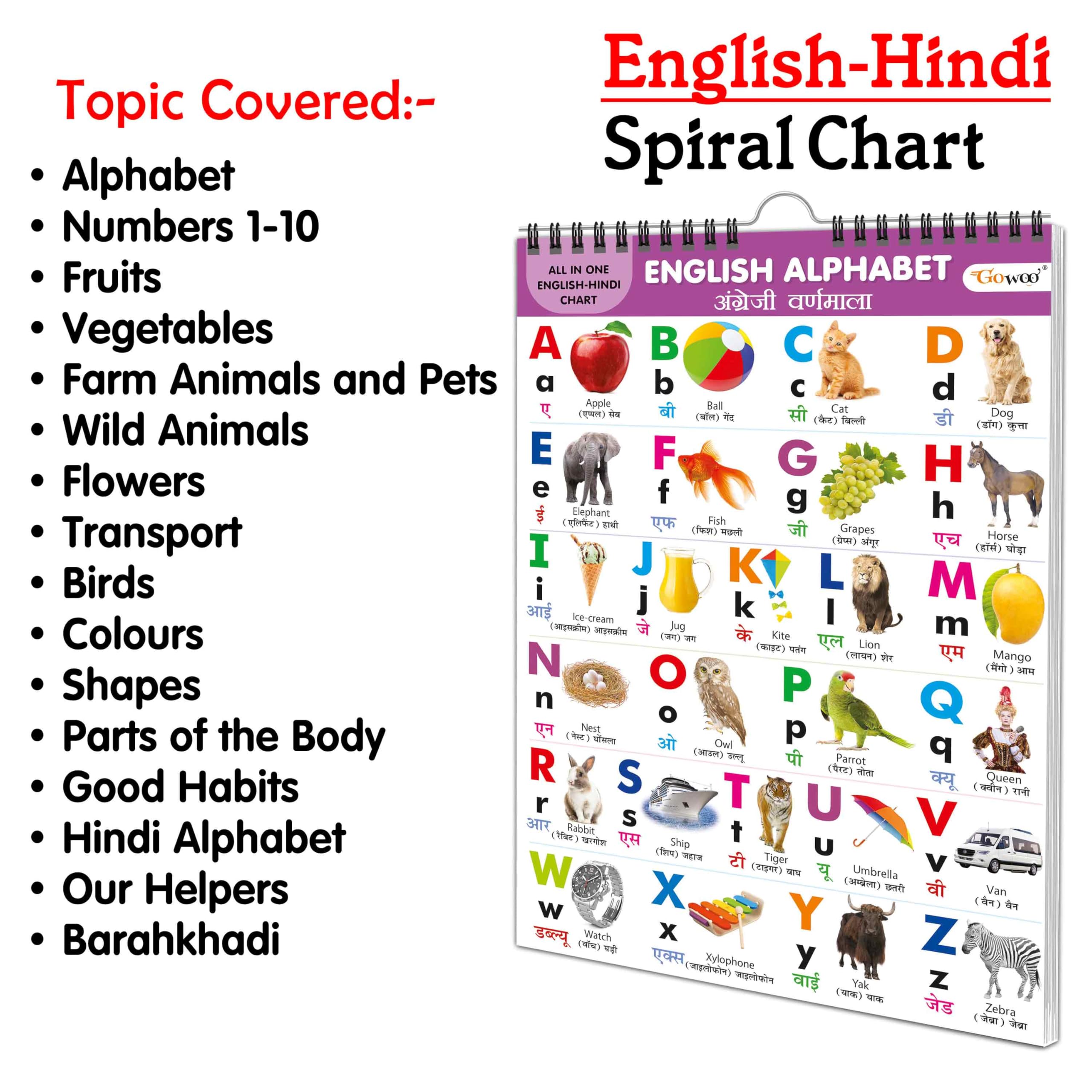 Ukg Class Picture ENGLISHHINDI Chart With 16 Topics : ENGLISH ALPHABET, HINDI ALPHABET, Number 110, COLOURS, SHAPES, FLOWERS, 