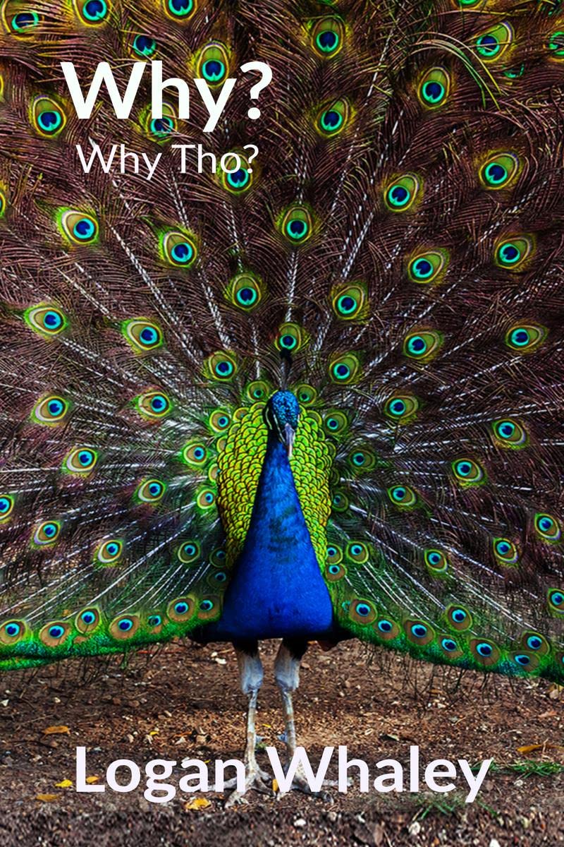 Why? : Why Tho?
